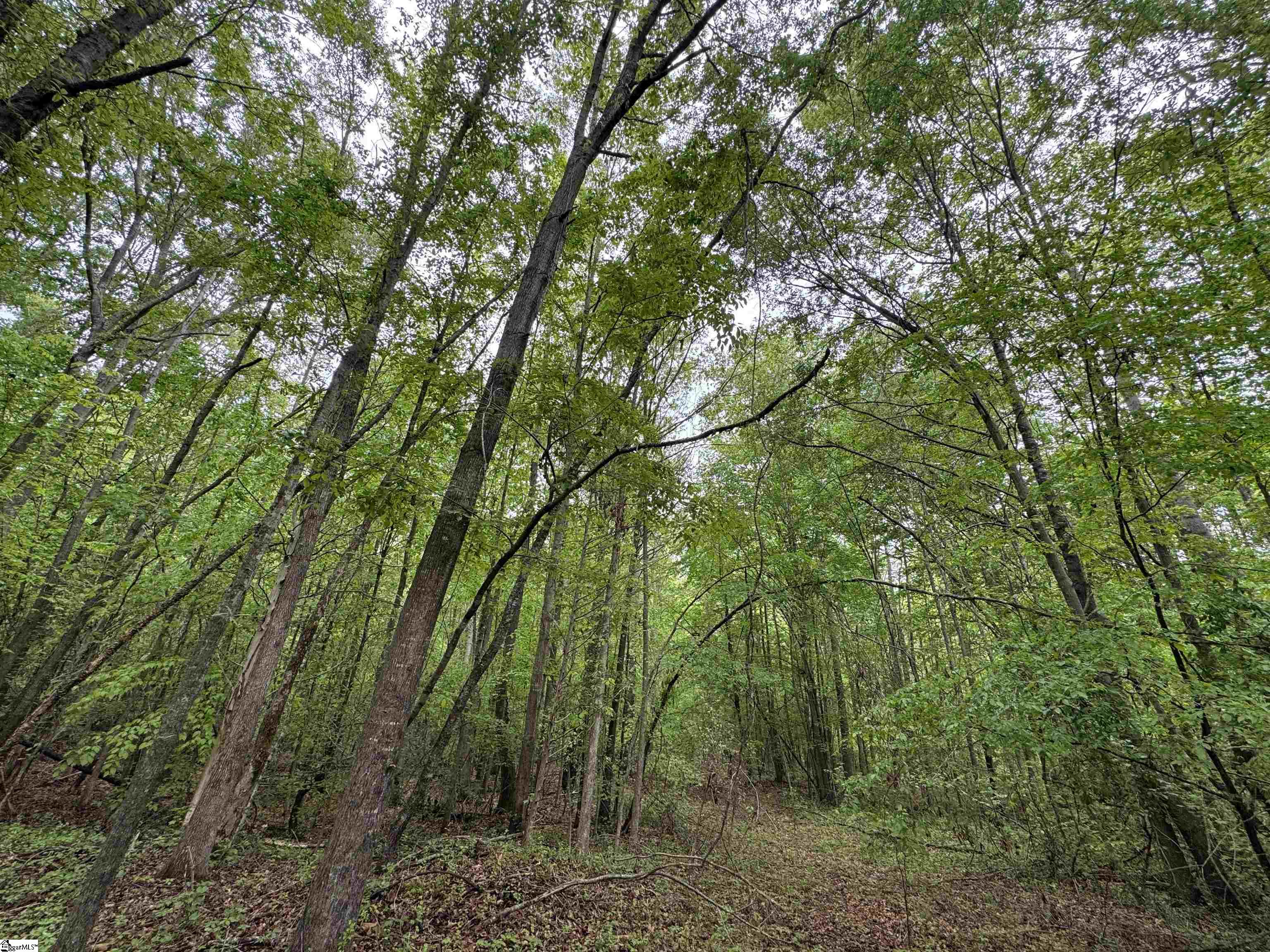 1220 Watson Road Enoree, SC 29335