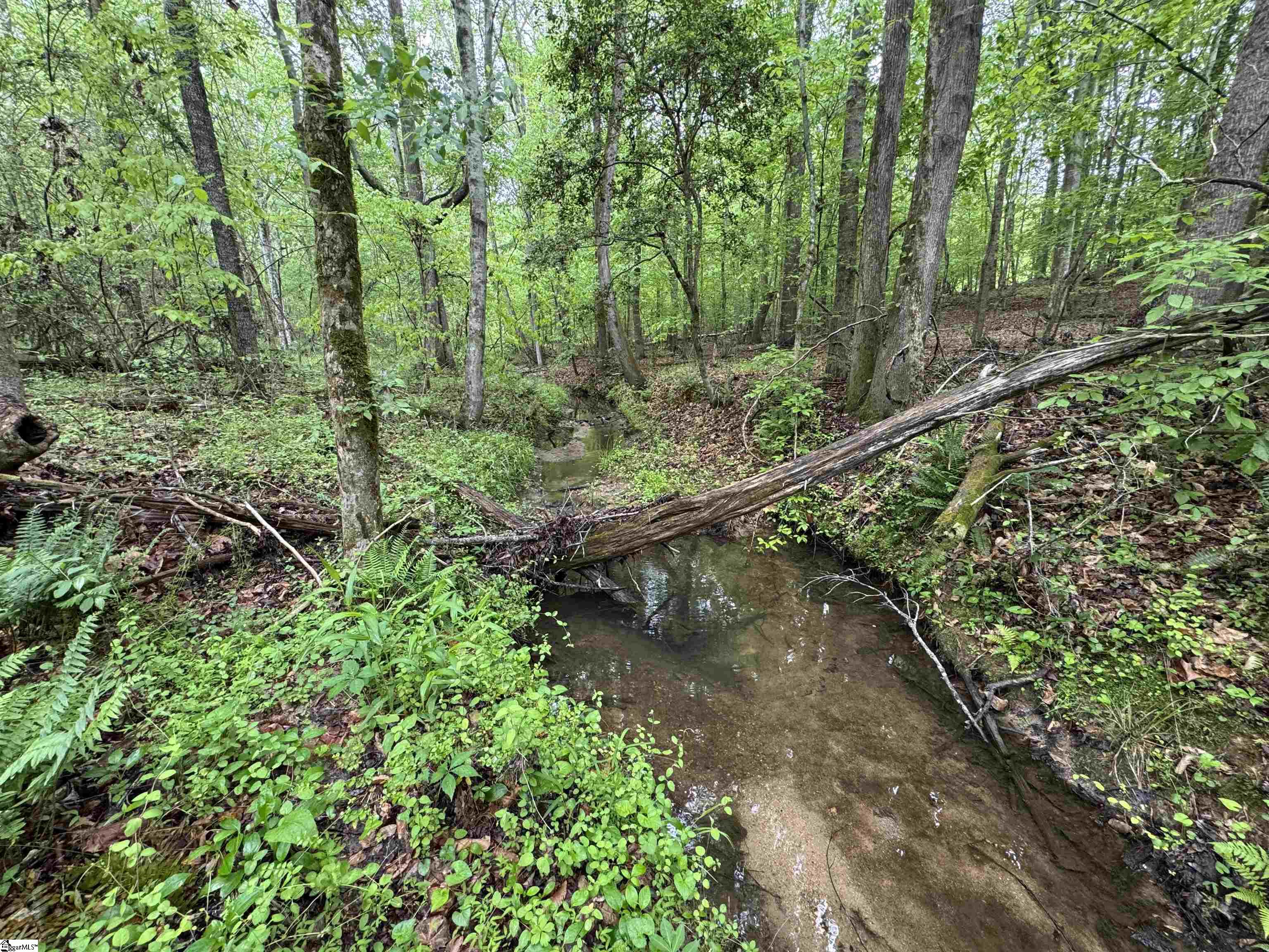 1220 Watson Road Enoree, SC 29335