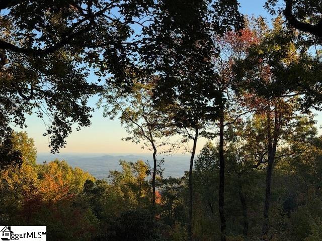 126 Columbine Way Cleveland, SC 29635