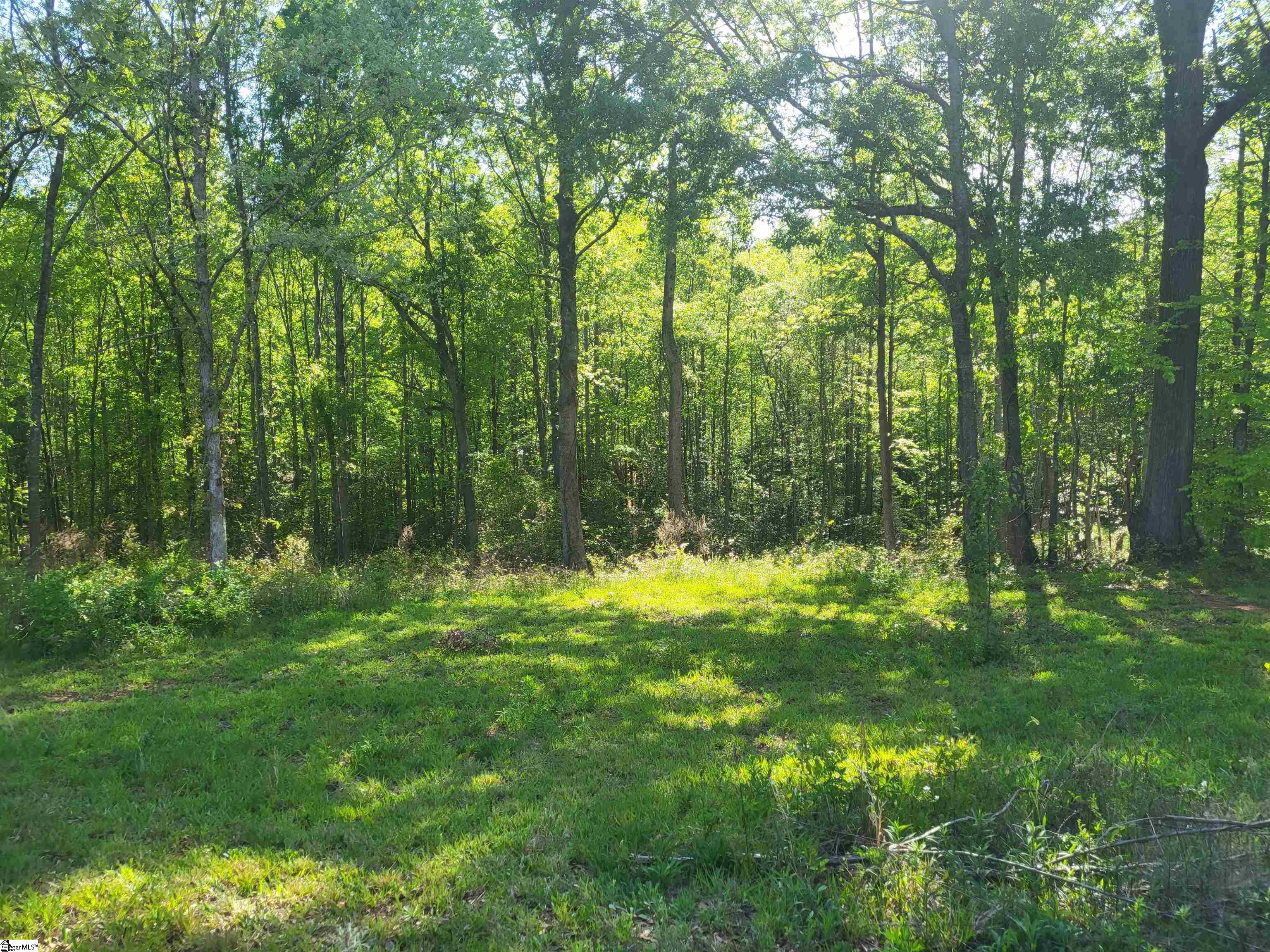 3151 N Highway 14 Greer, SC 29651