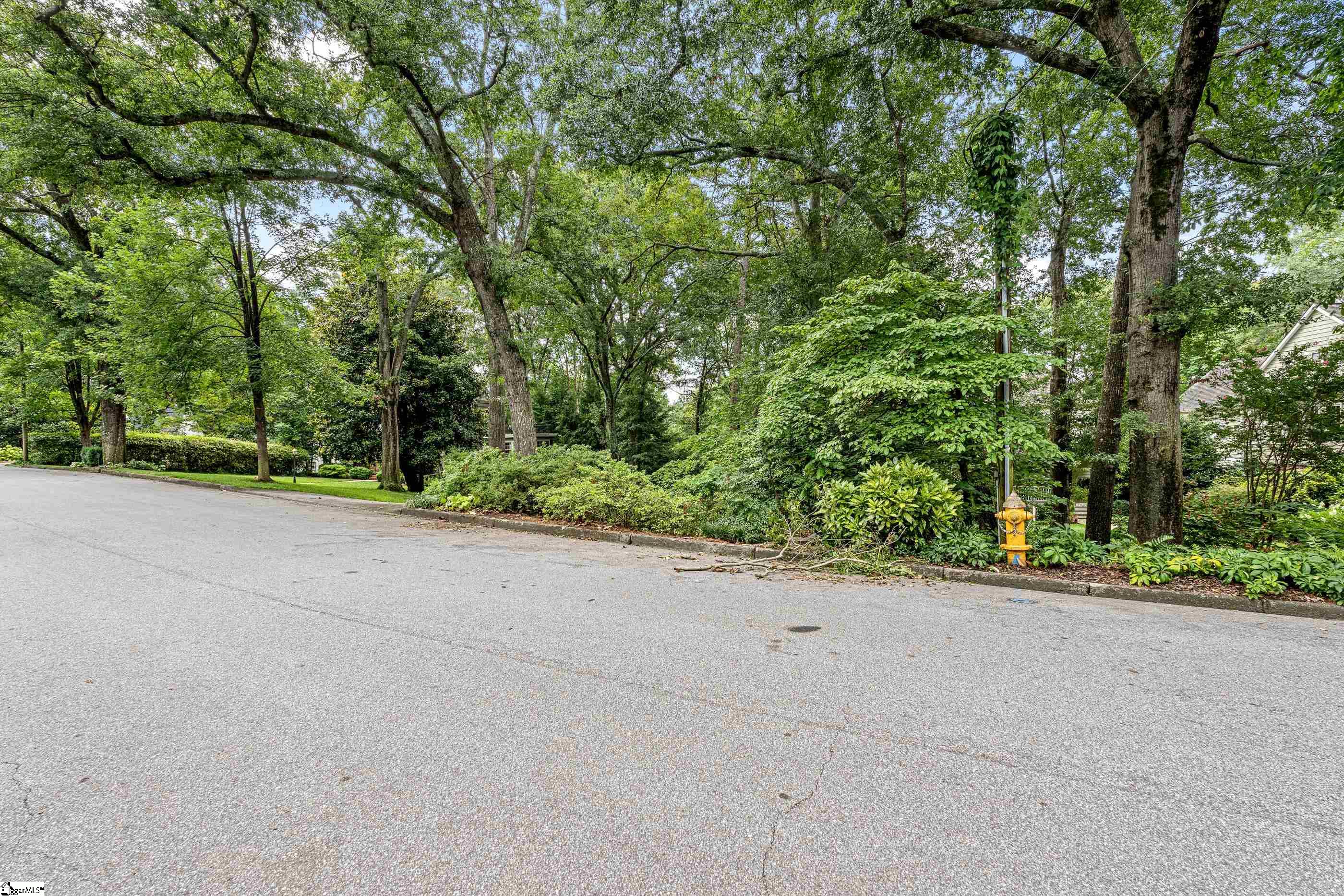 78 Woodvale Avenue Greenville, SC 29605