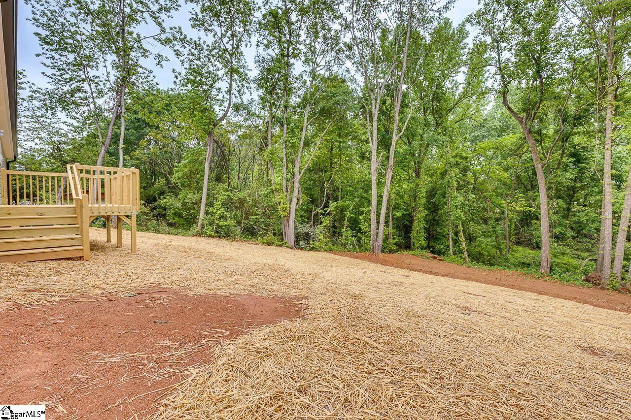 431 Lewis Street Anderson, SC 29624