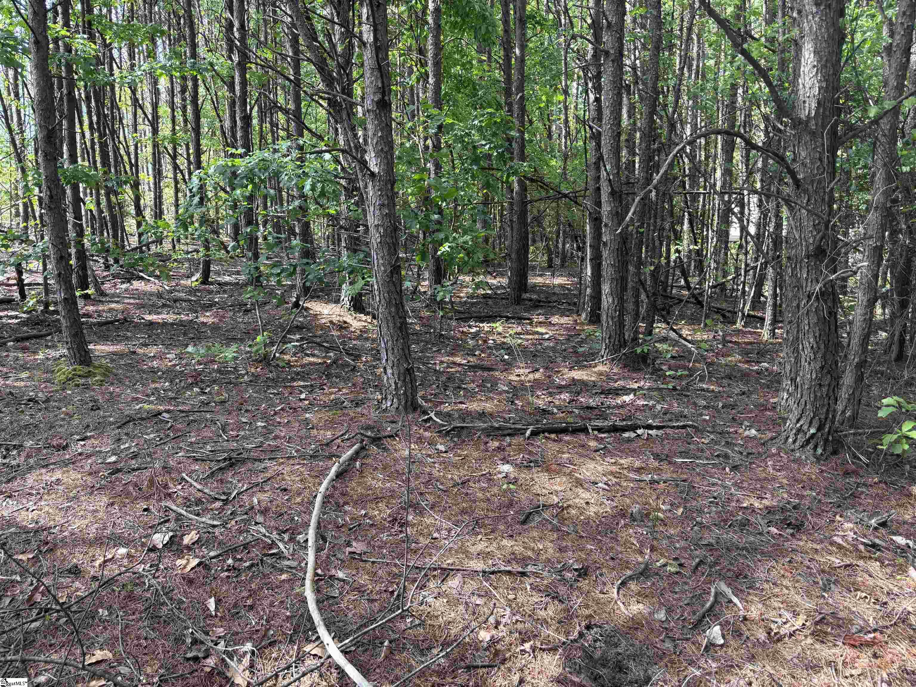 1940 Pleasant Hill Road UNIT LOT 3-B Greer, SC 29651