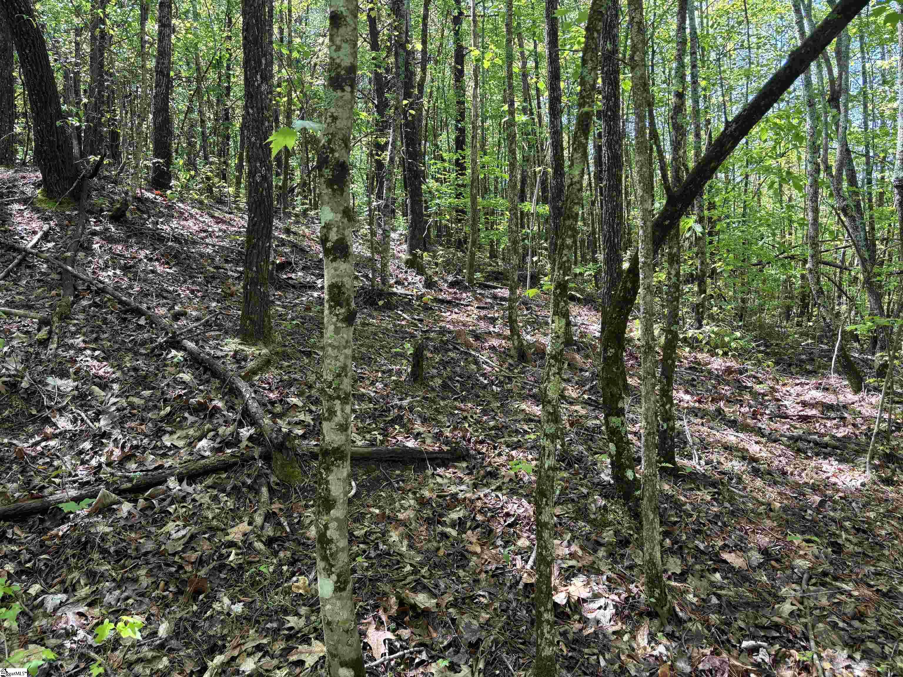 1940 Pleasant Hill Road UNIT LOT 3-B Greer, SC 29651