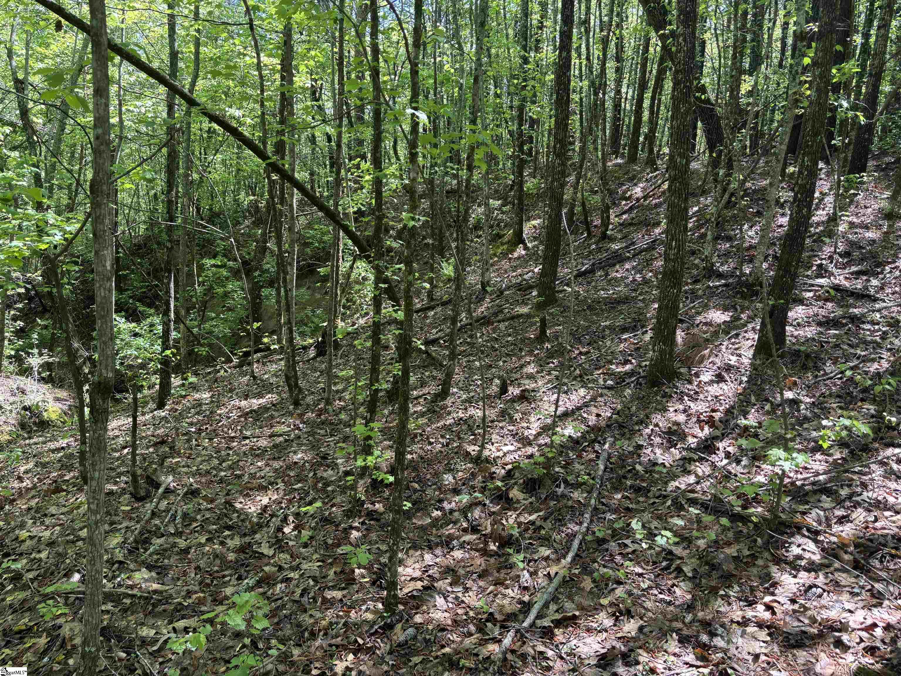 1940 Pleasant Hill Road UNIT LOT 3-B Greer, SC 29651