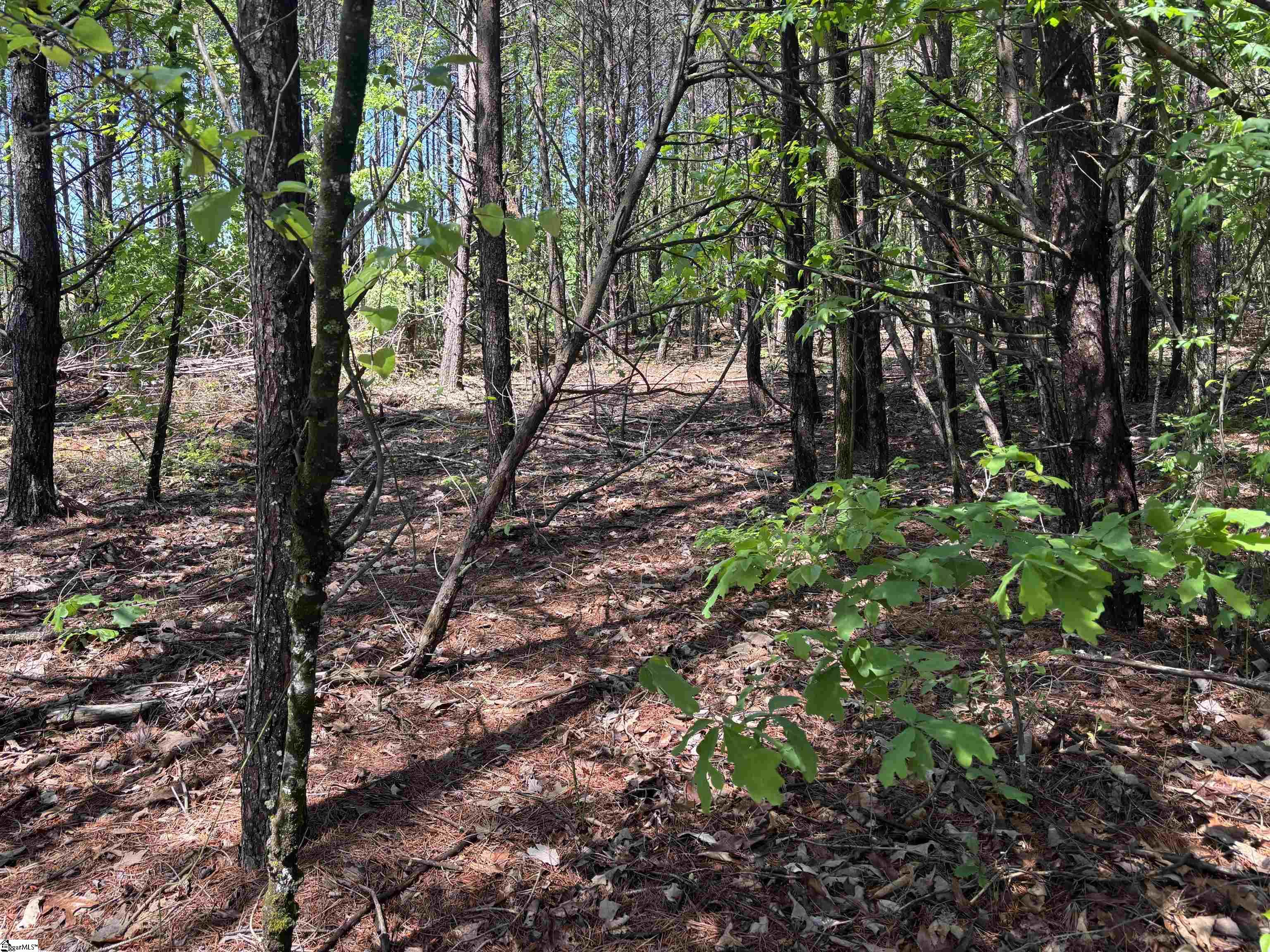 1940 Pleasant Hill Road UNIT LOT 3-B Greer, SC 29651