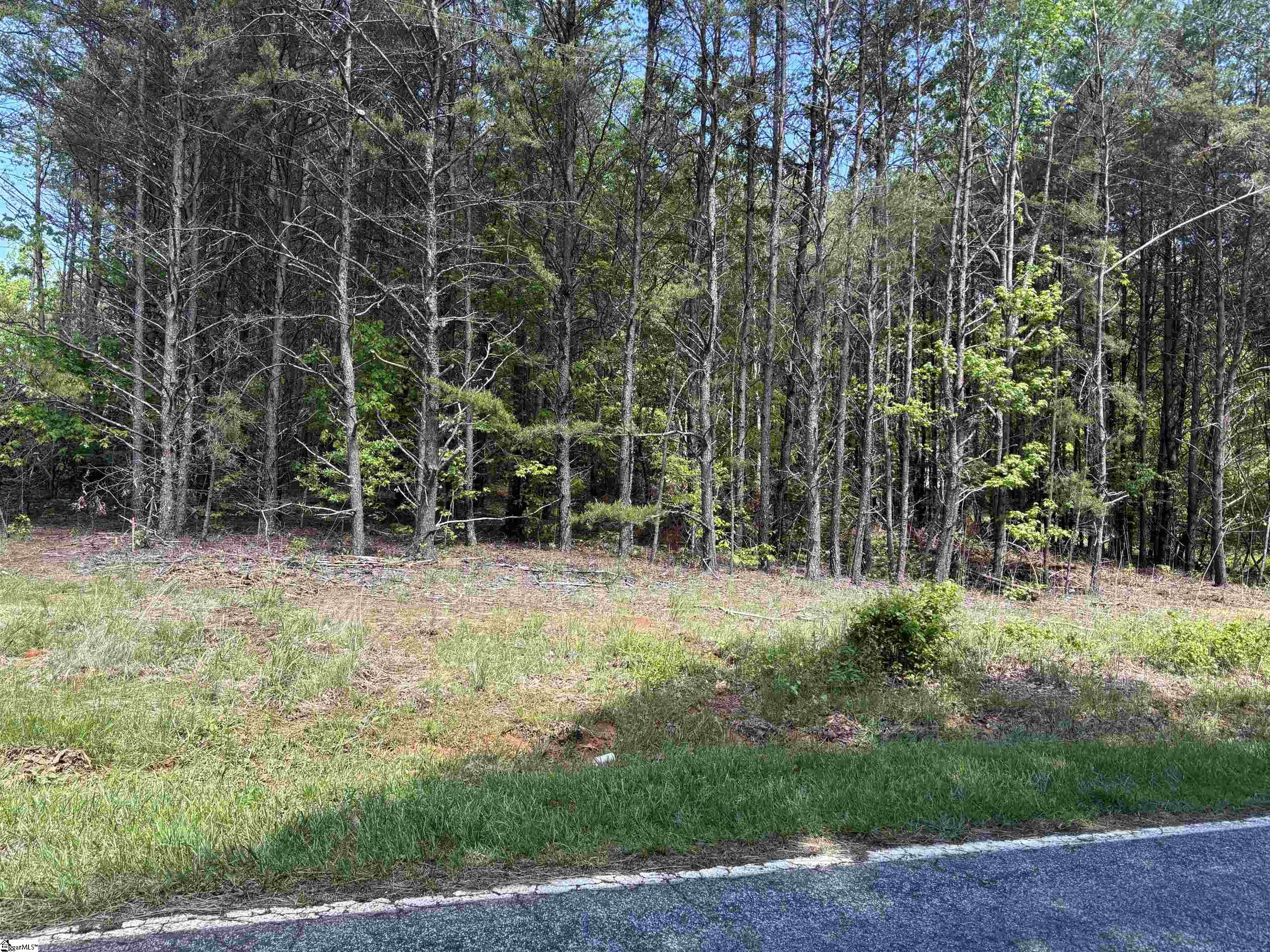 1940 Pleasant Hill Road UNIT LOT 3-B Greer, SC 29651