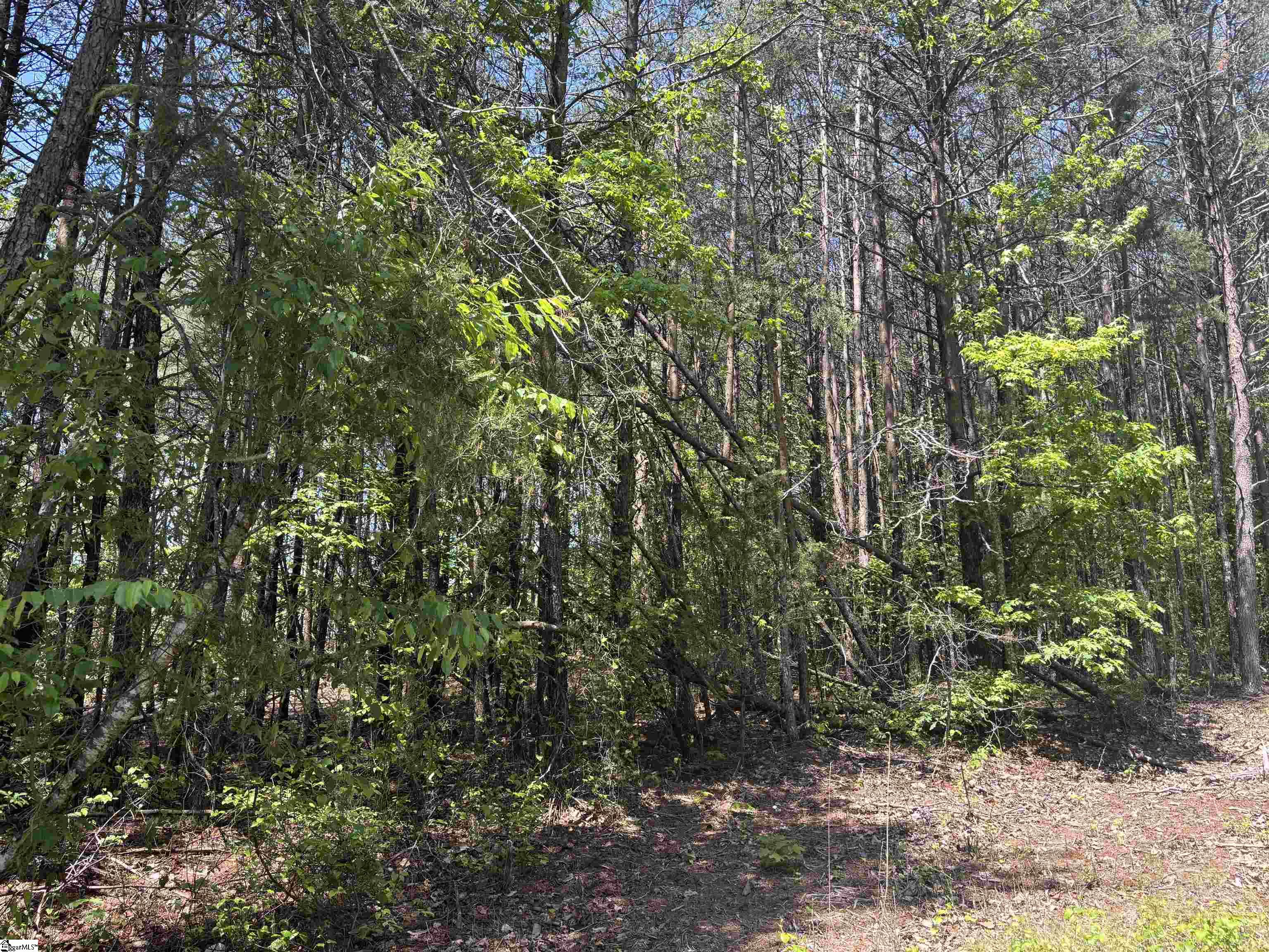1940 Pleasant Hill Road UNIT LOT 3-B Greer, SC 29651