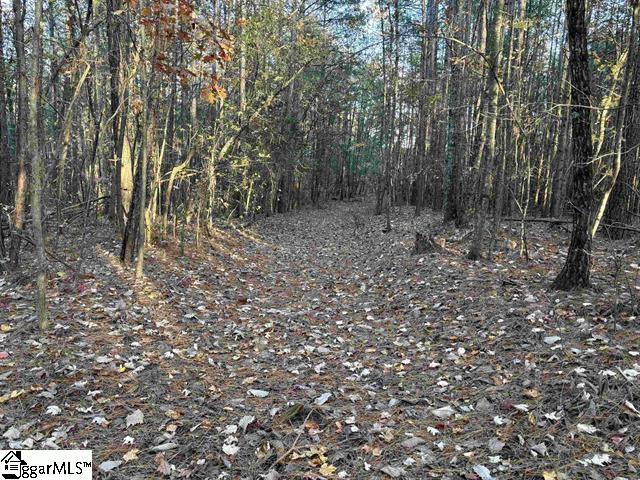 1940 Pleasant Hill Road UNIT LOT 3-B Greer, SC 29651