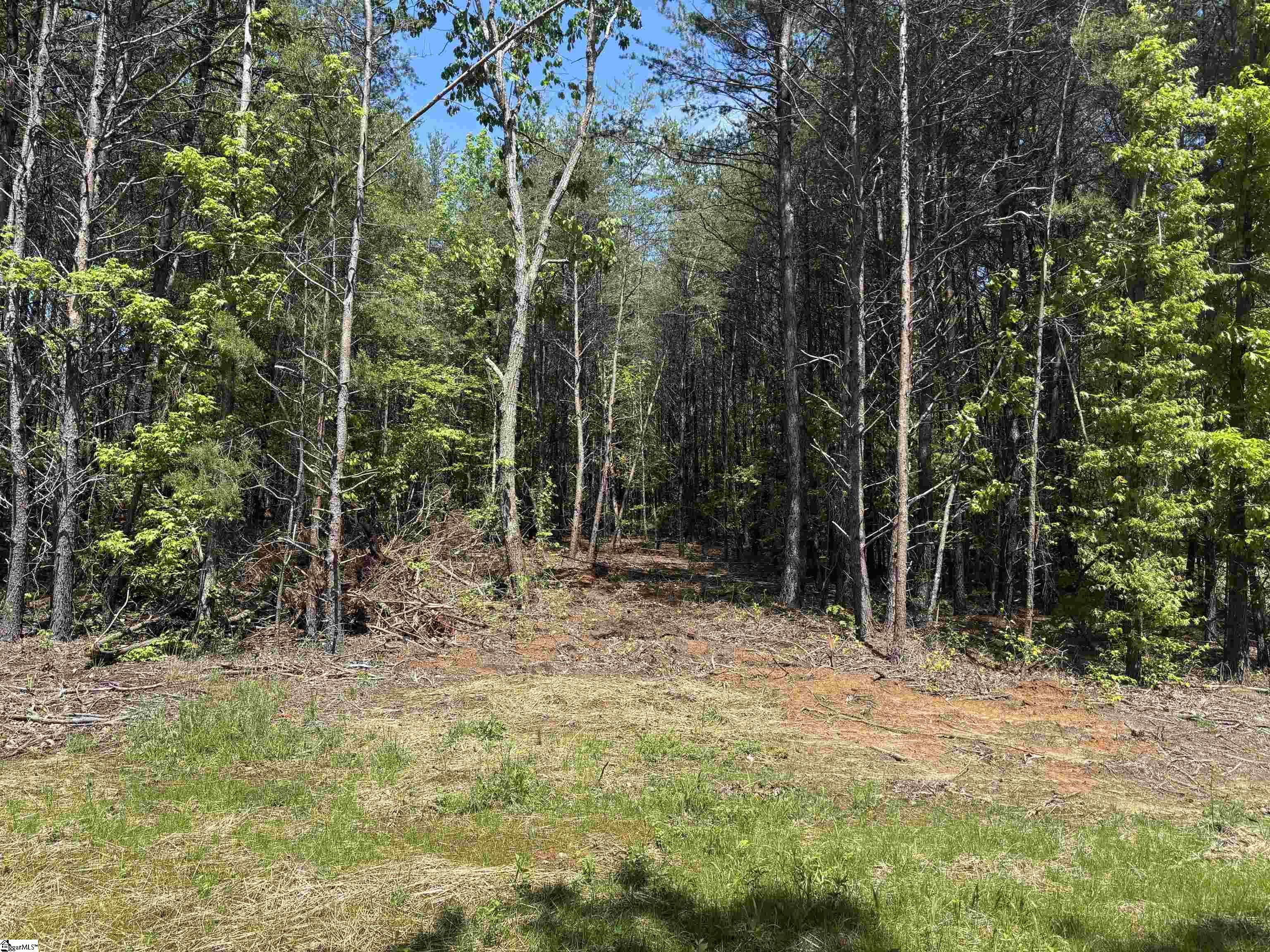 1940 Pleasant Hill Road UNIT LOT 3-B Greer, SC 29651