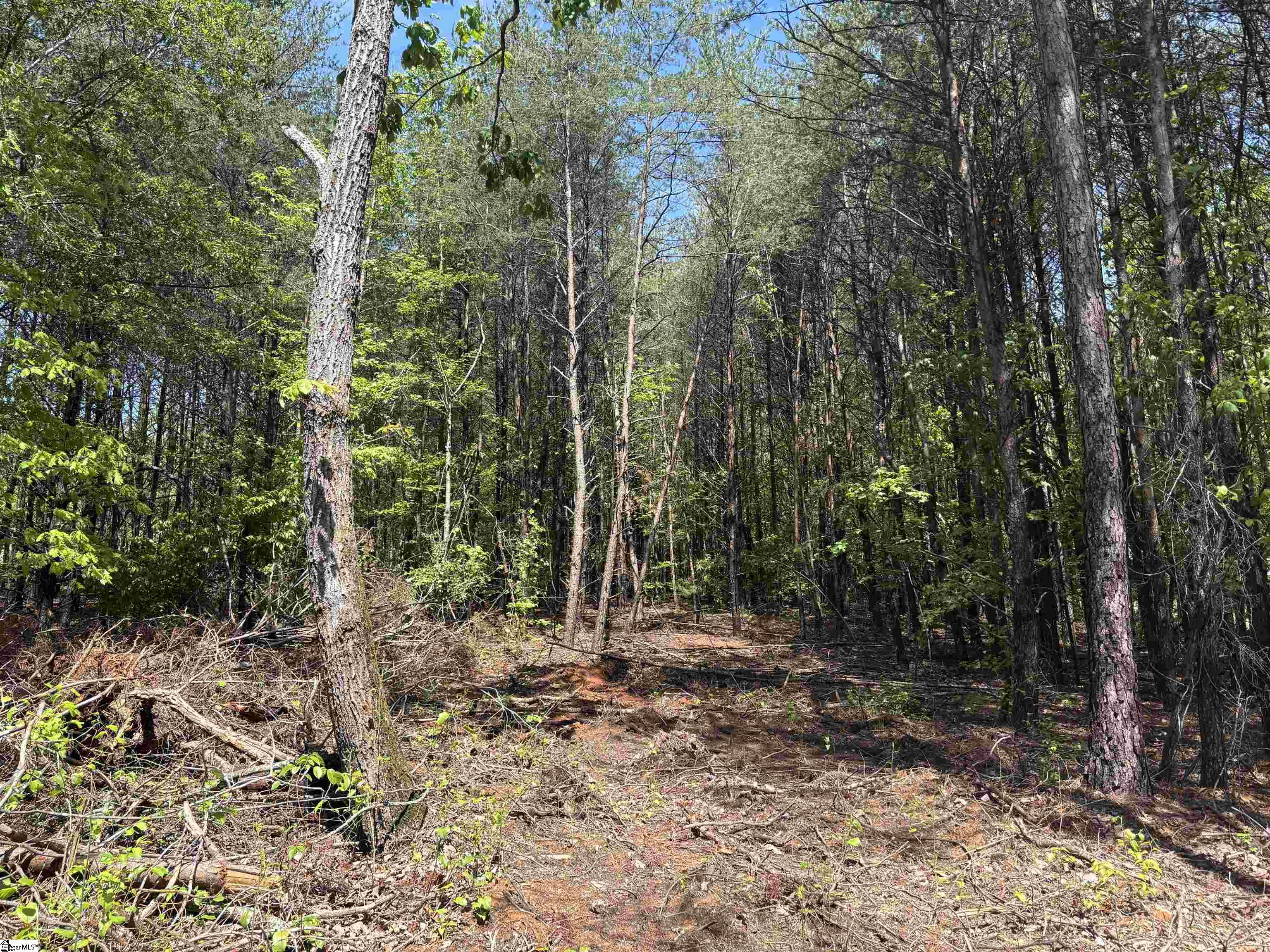 1940 Pleasant Hill Road UNIT LOT 3-B Greer, SC 29651
