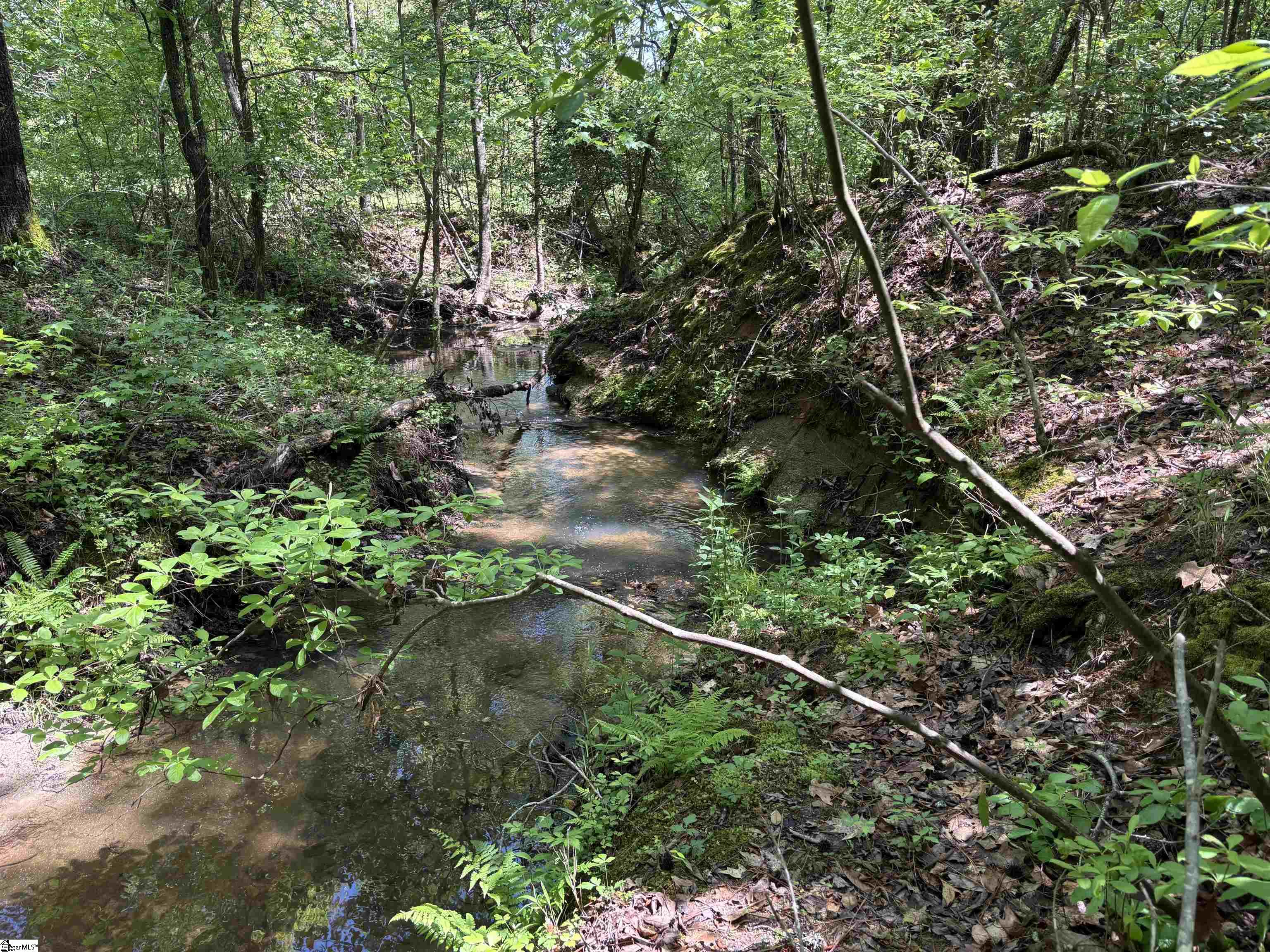 1940 Pleasant Hill Road UNIT LOT 3-B Greer, SC 29651
