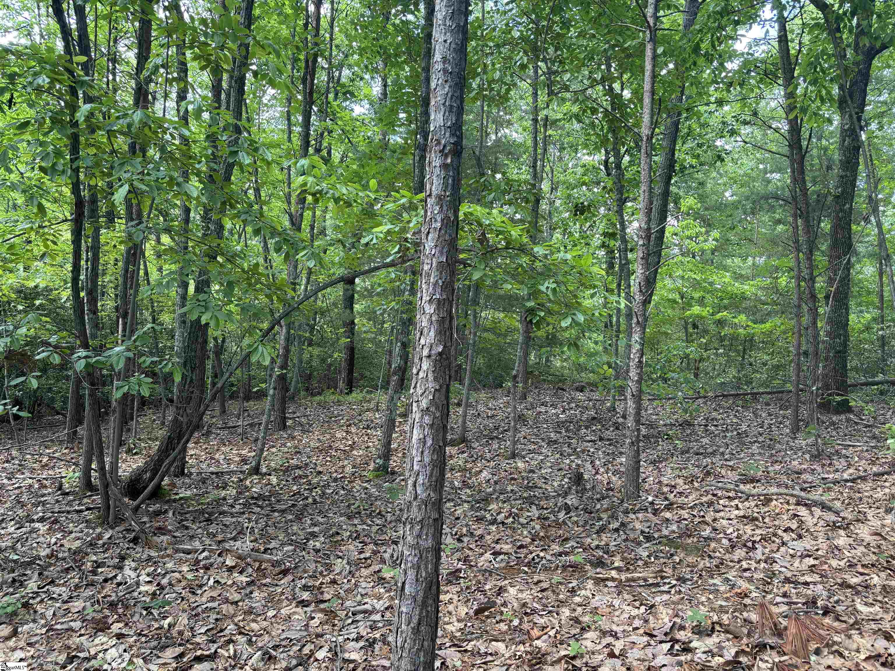 1940 Pleasant Hill Road UNIT LOT 3-B Greer, SC 29651