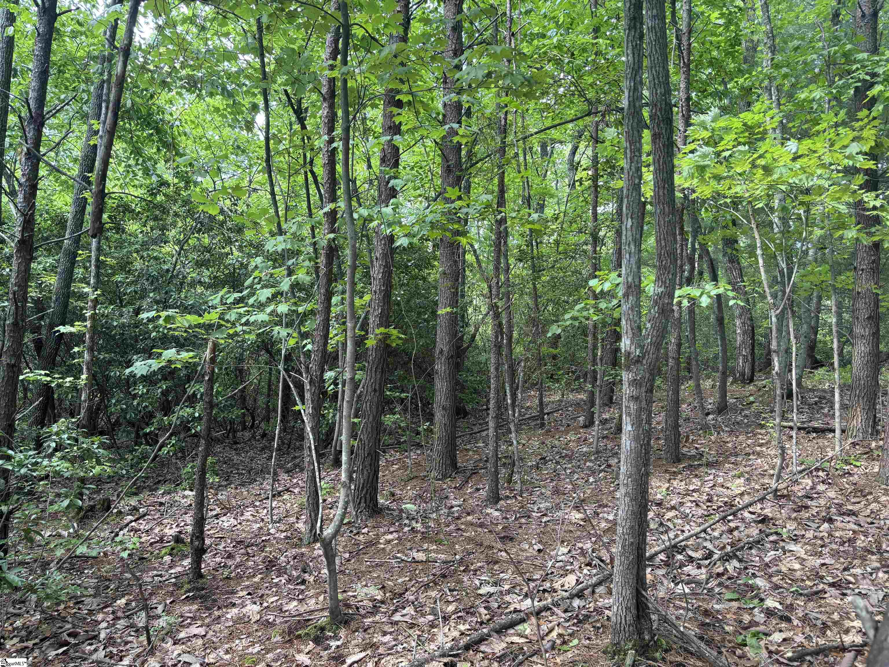 1940 Pleasant Hill Road UNIT LOT 3-B Greer, SC 29651