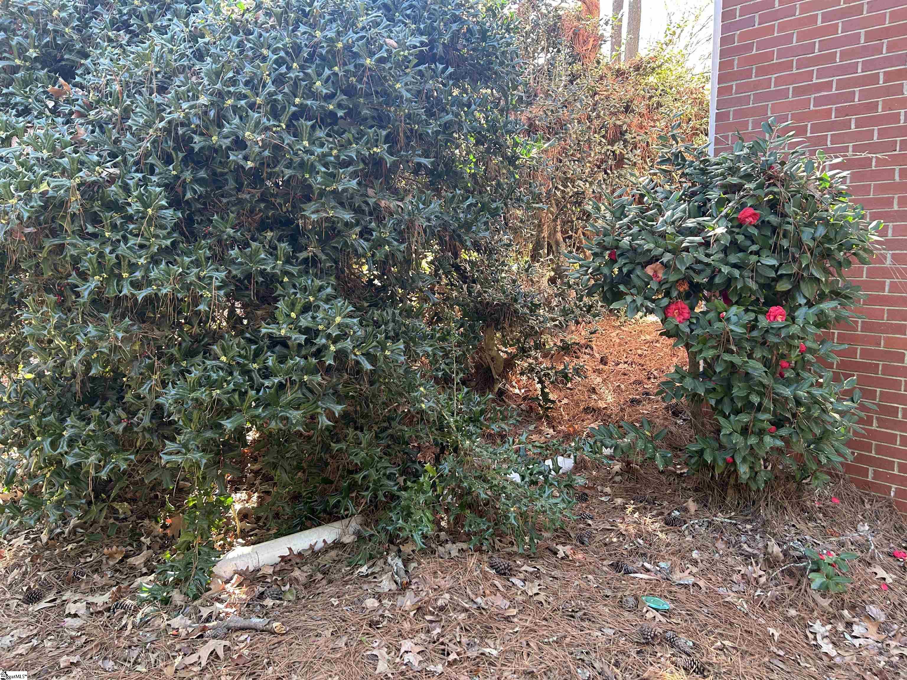 402 Chestnut Street Clinton, SC 29325