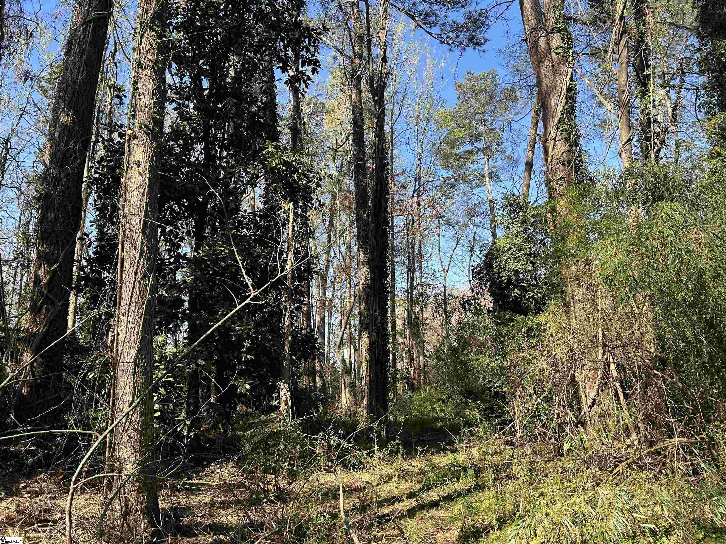 402 Chestnut Street Clinton, SC 29325