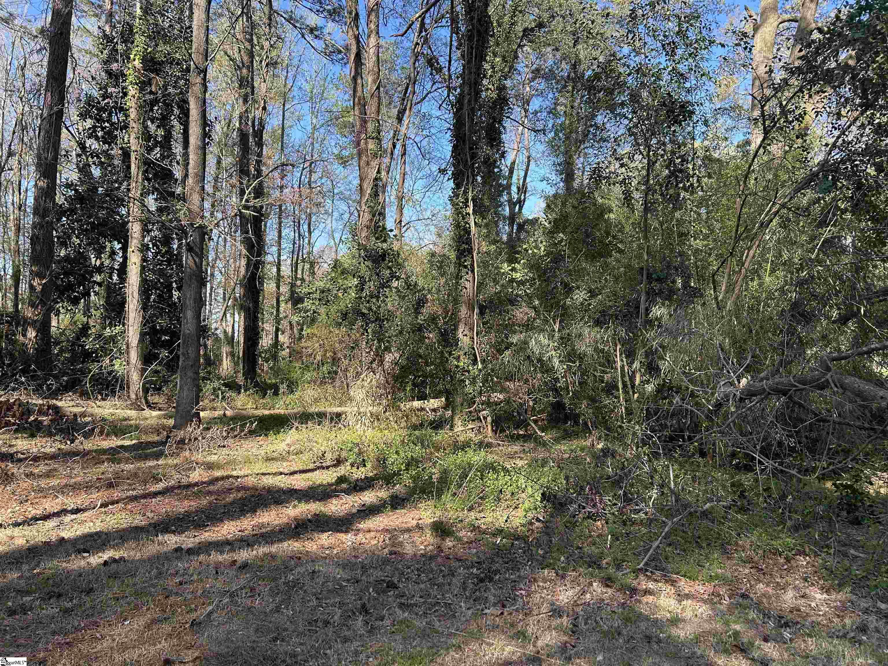 402 Chestnut Street Clinton, SC 29325
