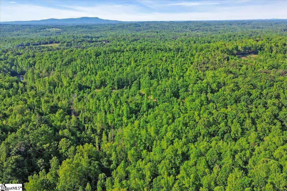 00 Burns Road Travelers Rest, SC 29690