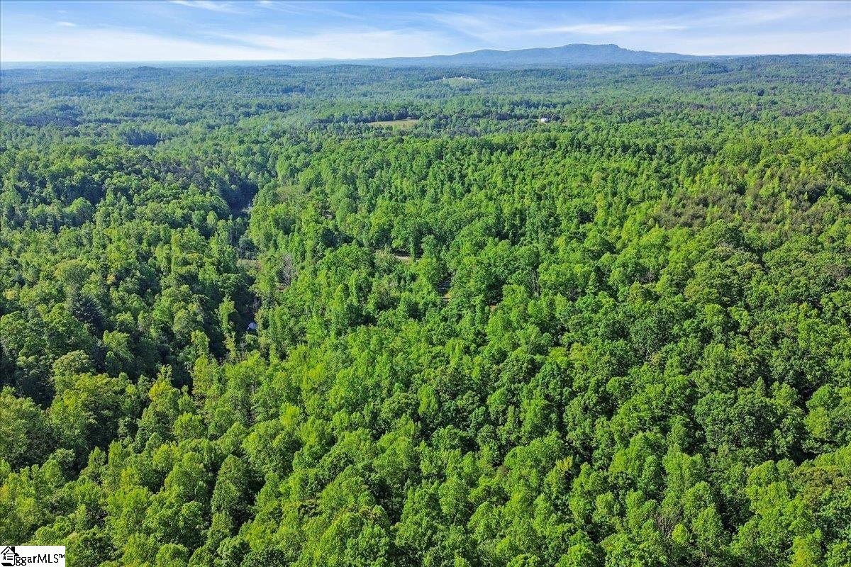 00 Burns Road Travelers Rest, SC 29690