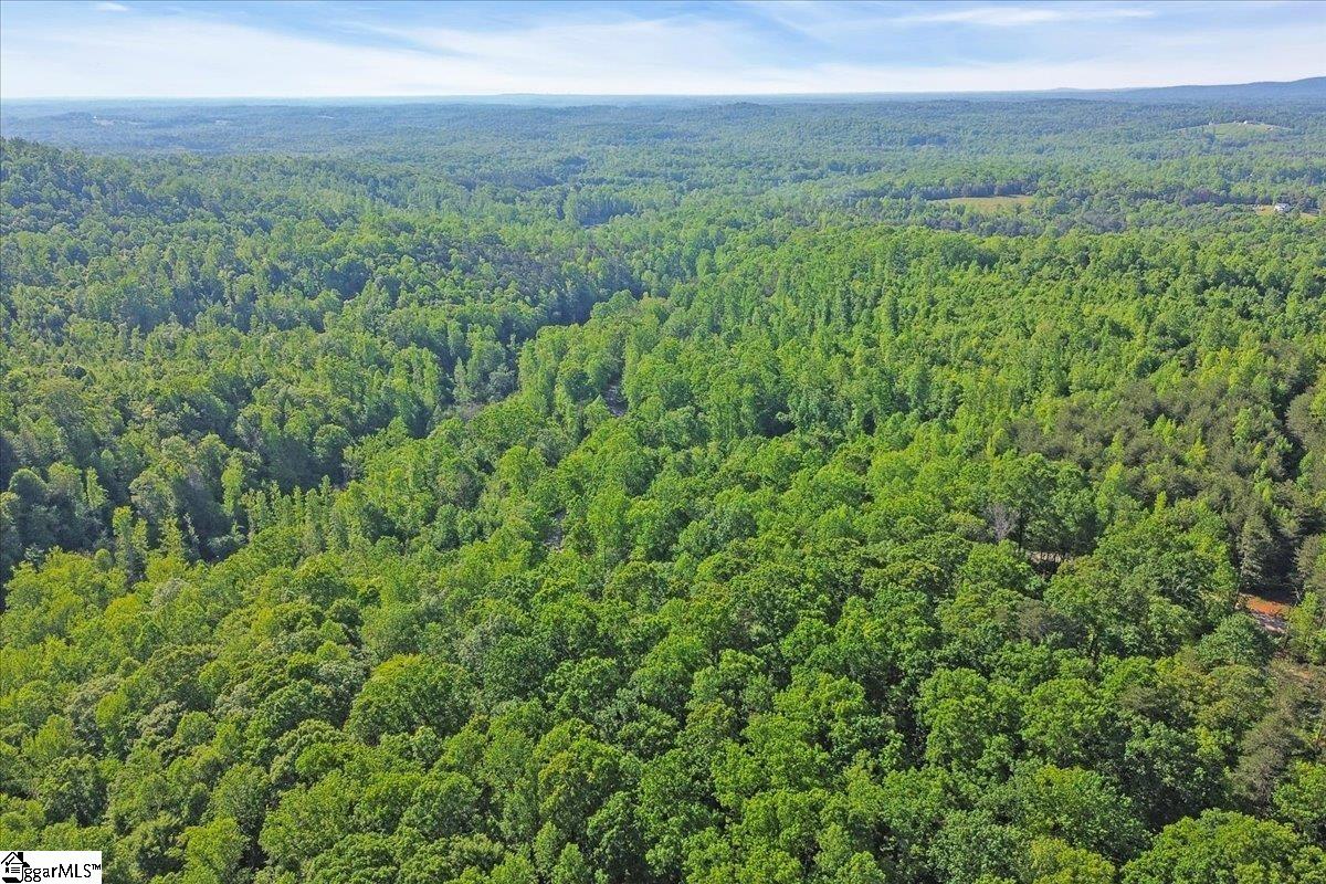 00 Burns Road Travelers Rest, SC 29690
