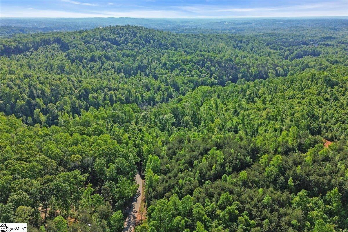 00 Burns Road Travelers Rest, SC 29690