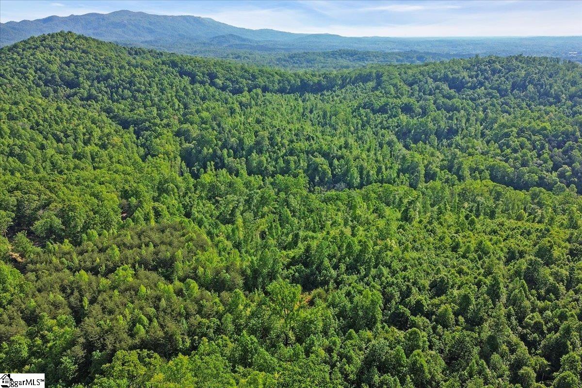00 Burns Road Travelers Rest, SC 29690