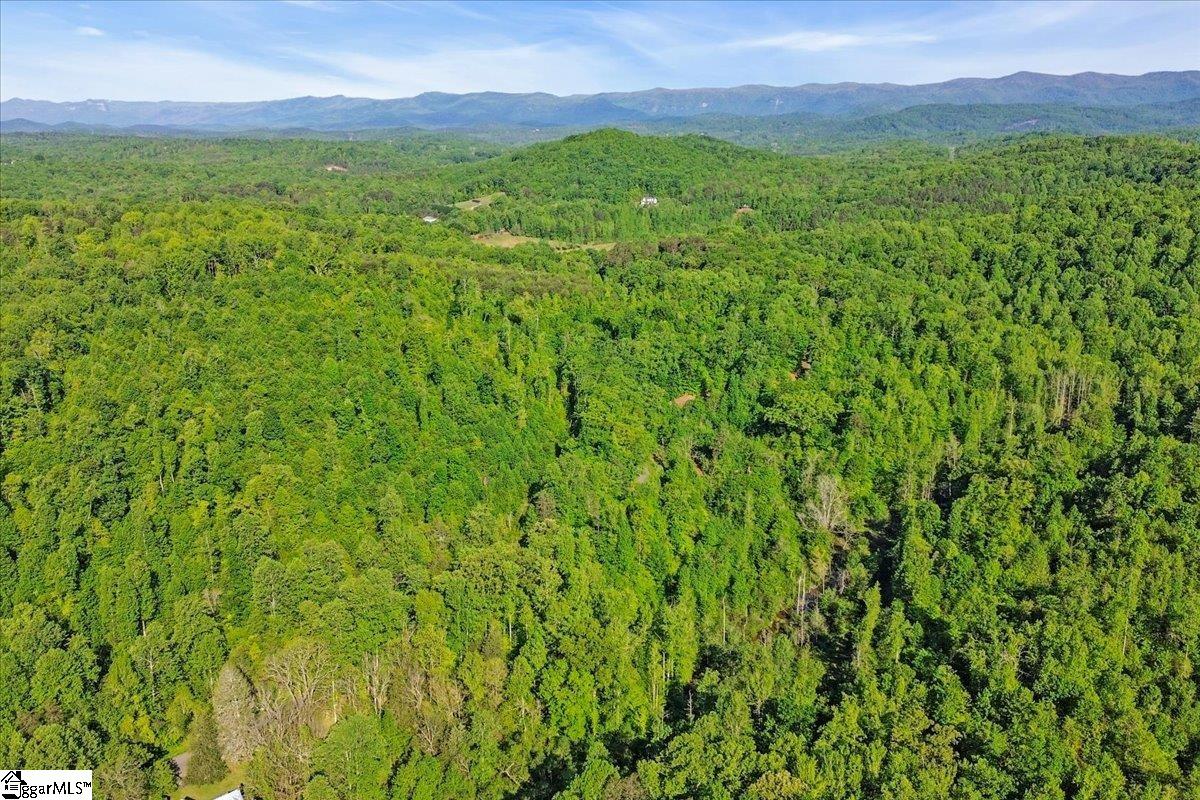 00 Burns Road Travelers Rest, SC 29690