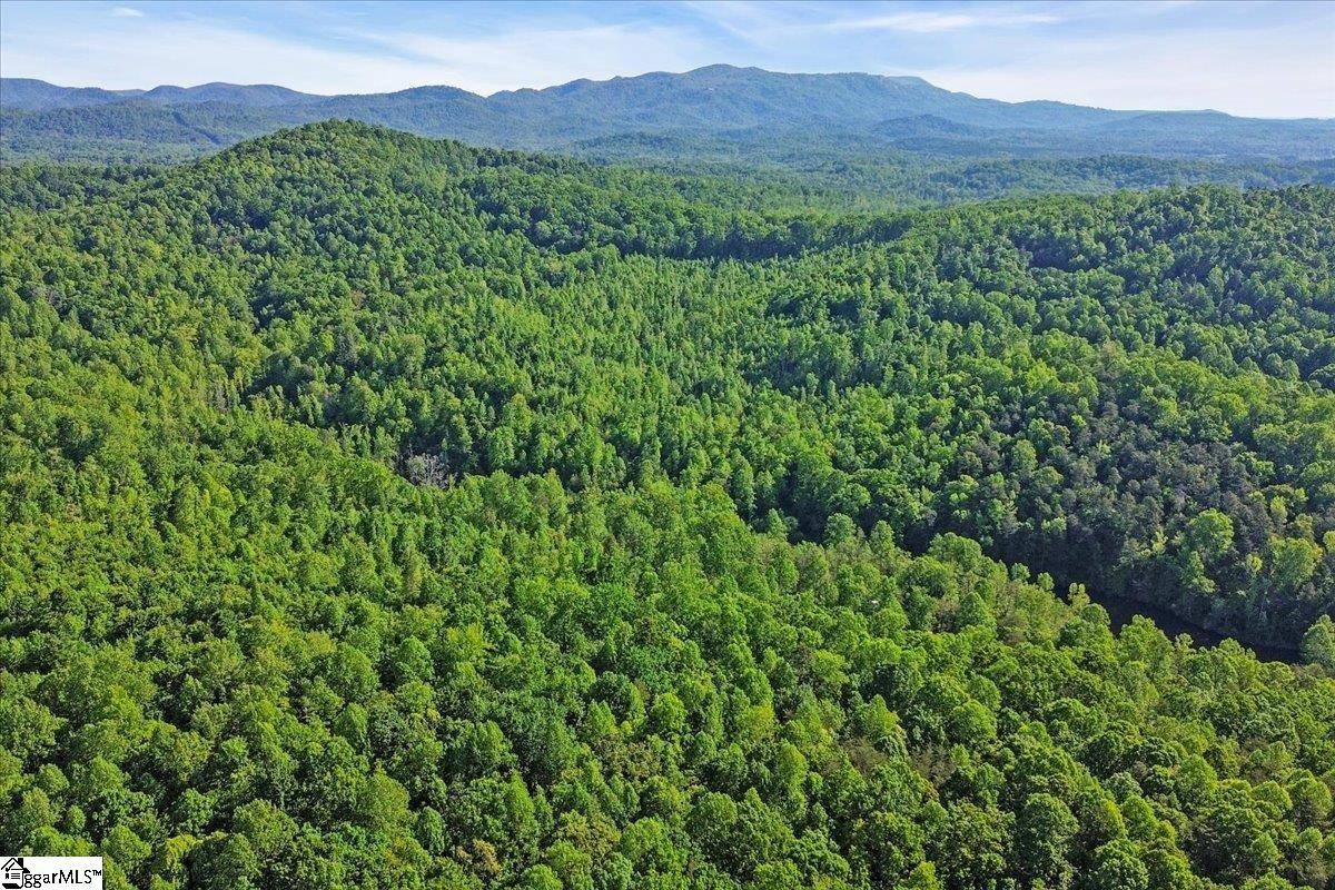 00 Burns Road Travelers Rest, SC 29690