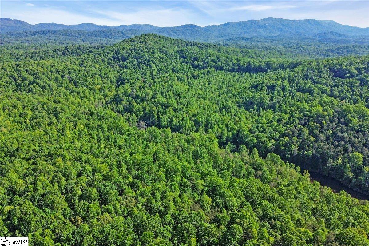 00 Burns Road Travelers Rest, SC 29690