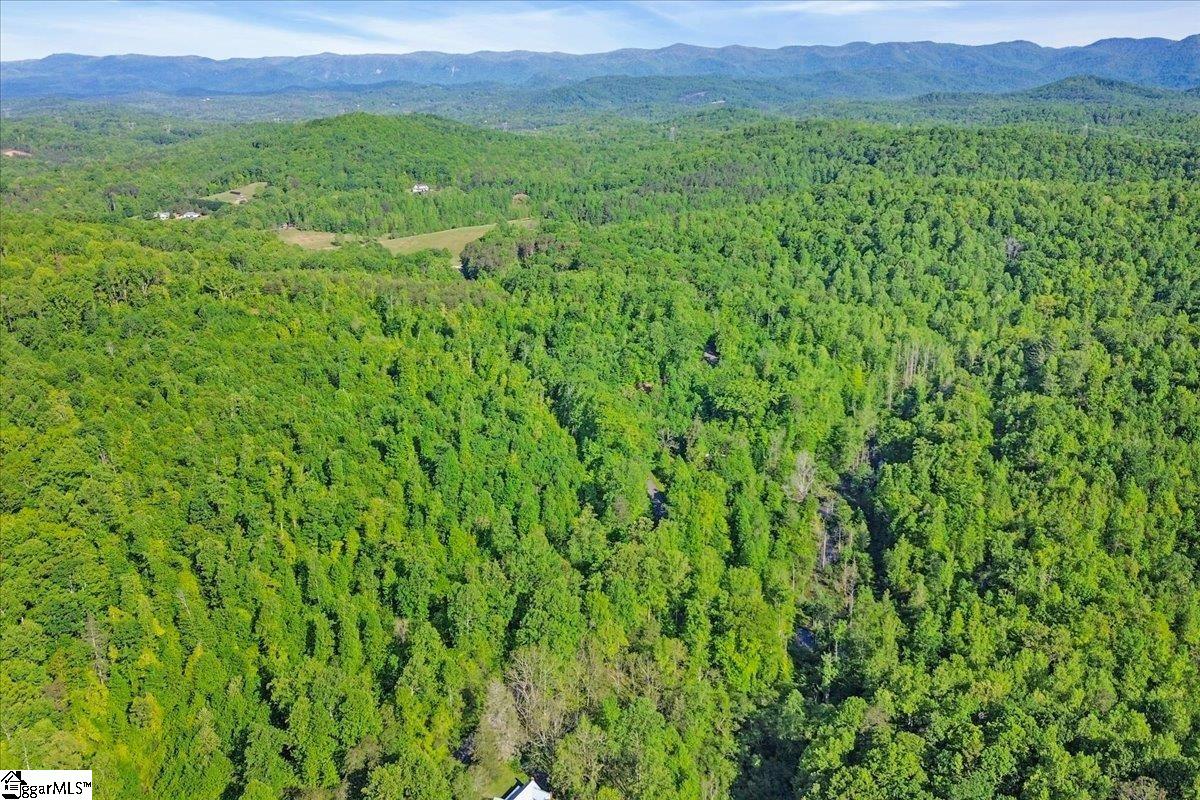 00 Burns Road Travelers Rest, SC 29690