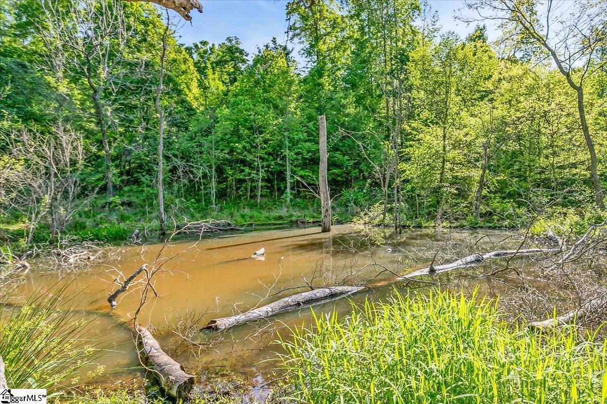00 Burns Road Travelers Rest, SC 29690