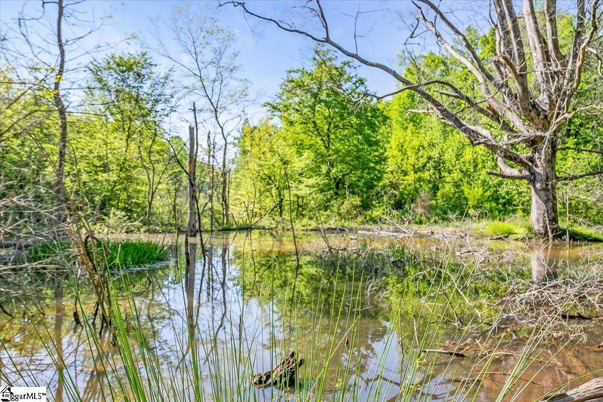 00 Burns Road Travelers Rest, SC 29690