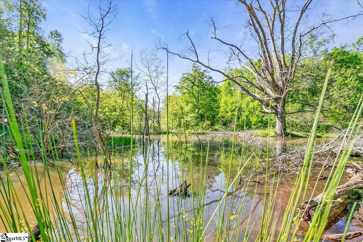 00 Burns Road Travelers Rest, SC 29690