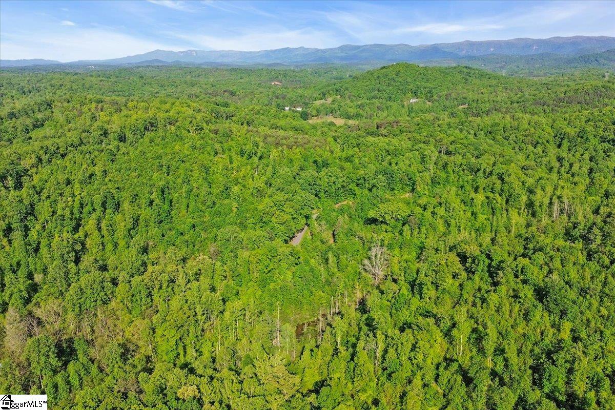 00 Burns Road Travelers Rest, SC 29690