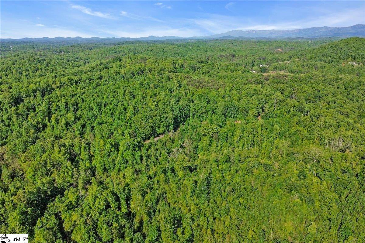 00 Burns Road Travelers Rest, SC 29690