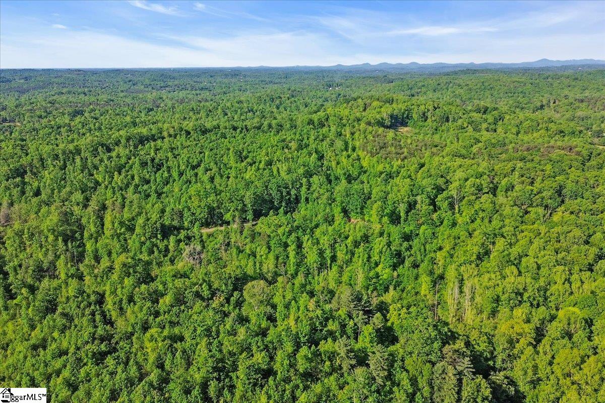 00 Burns Road Travelers Rest, SC 29690