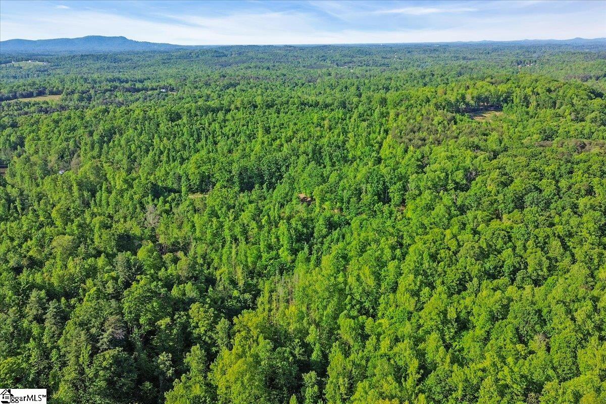 00 Burns Road Travelers Rest, SC 29690