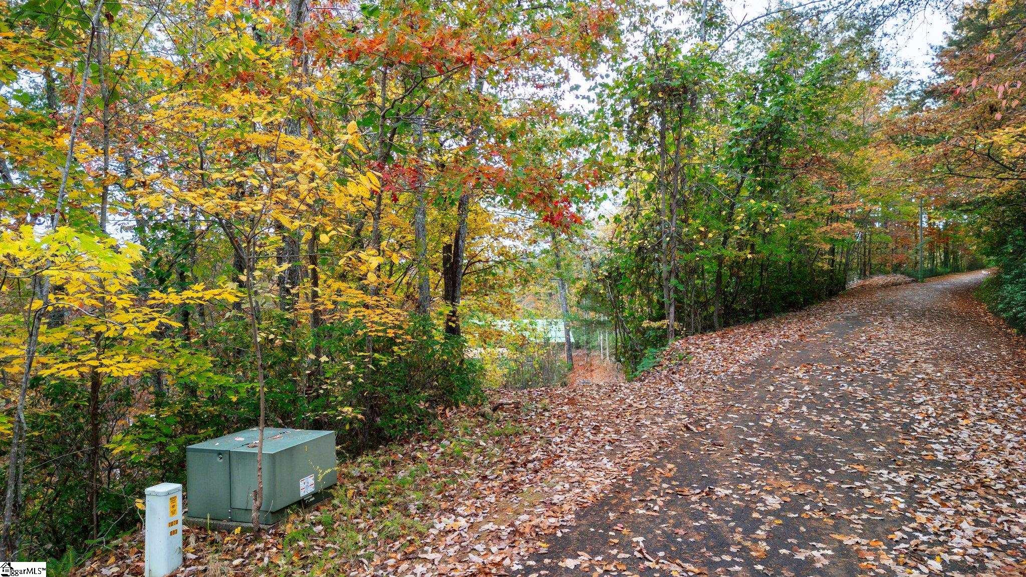 524 Caledonia Loop Landrum, SC 29356