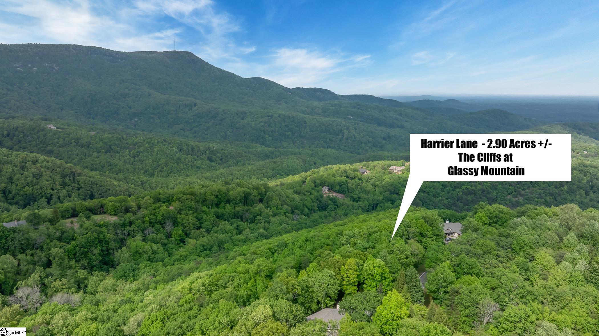53 Harrier Lane Landrum, SC 29356-3329