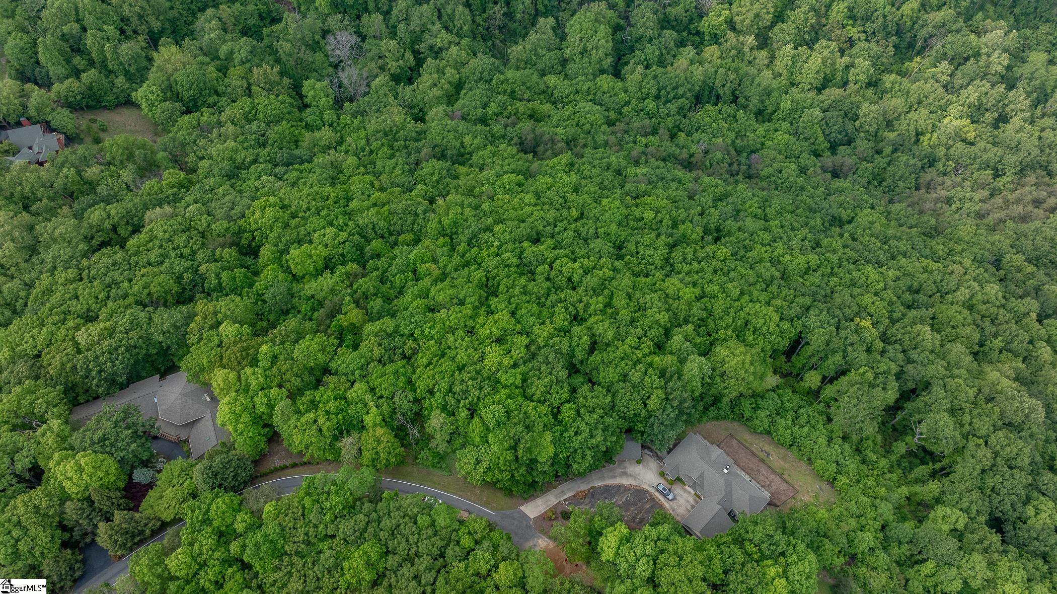 53 Harrier Lane Landrum, SC 29356-3329