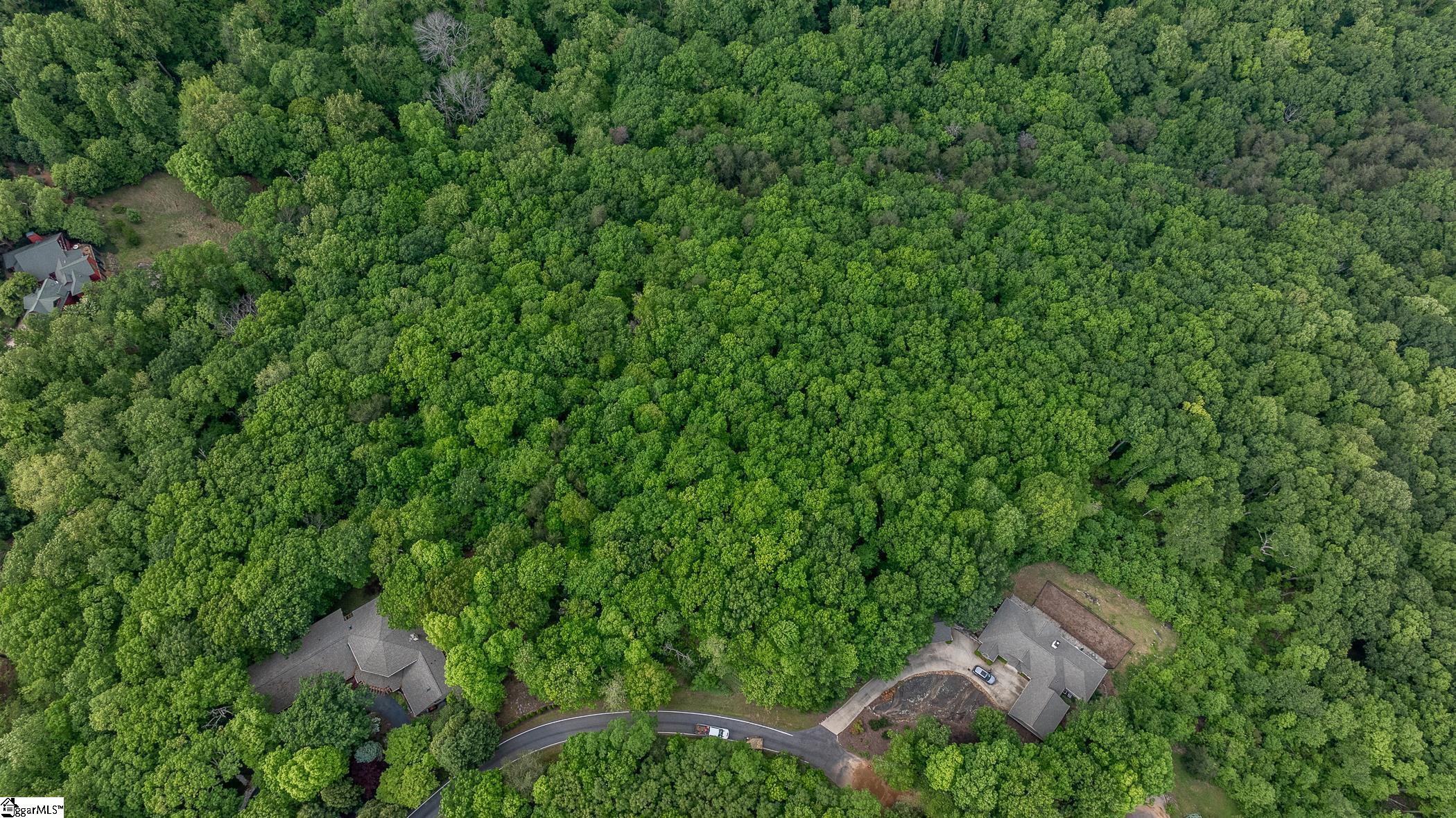 53 Harrier Lane Landrum, SC 29356-3329