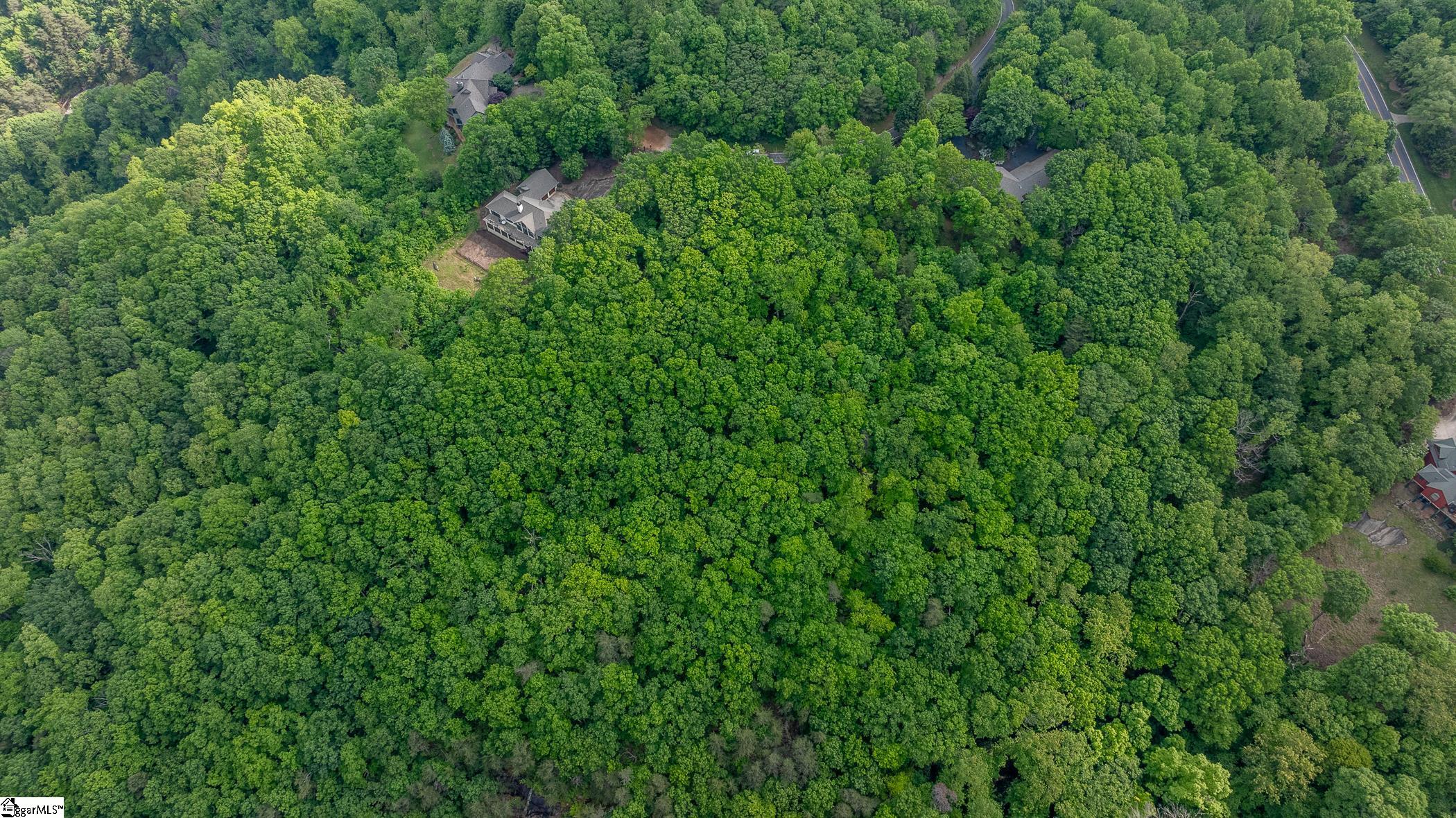 53 Harrier Lane Landrum, SC 29356-3329