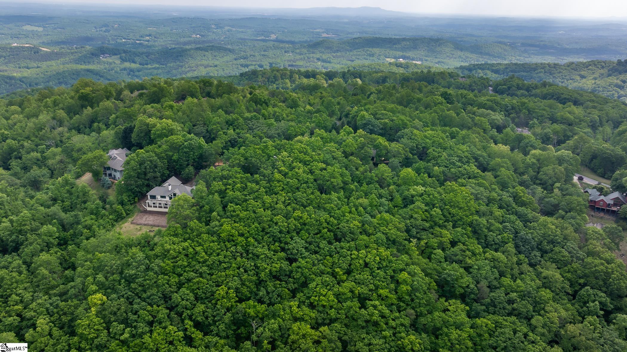 53 Harrier Lane Landrum, SC 29356-3329