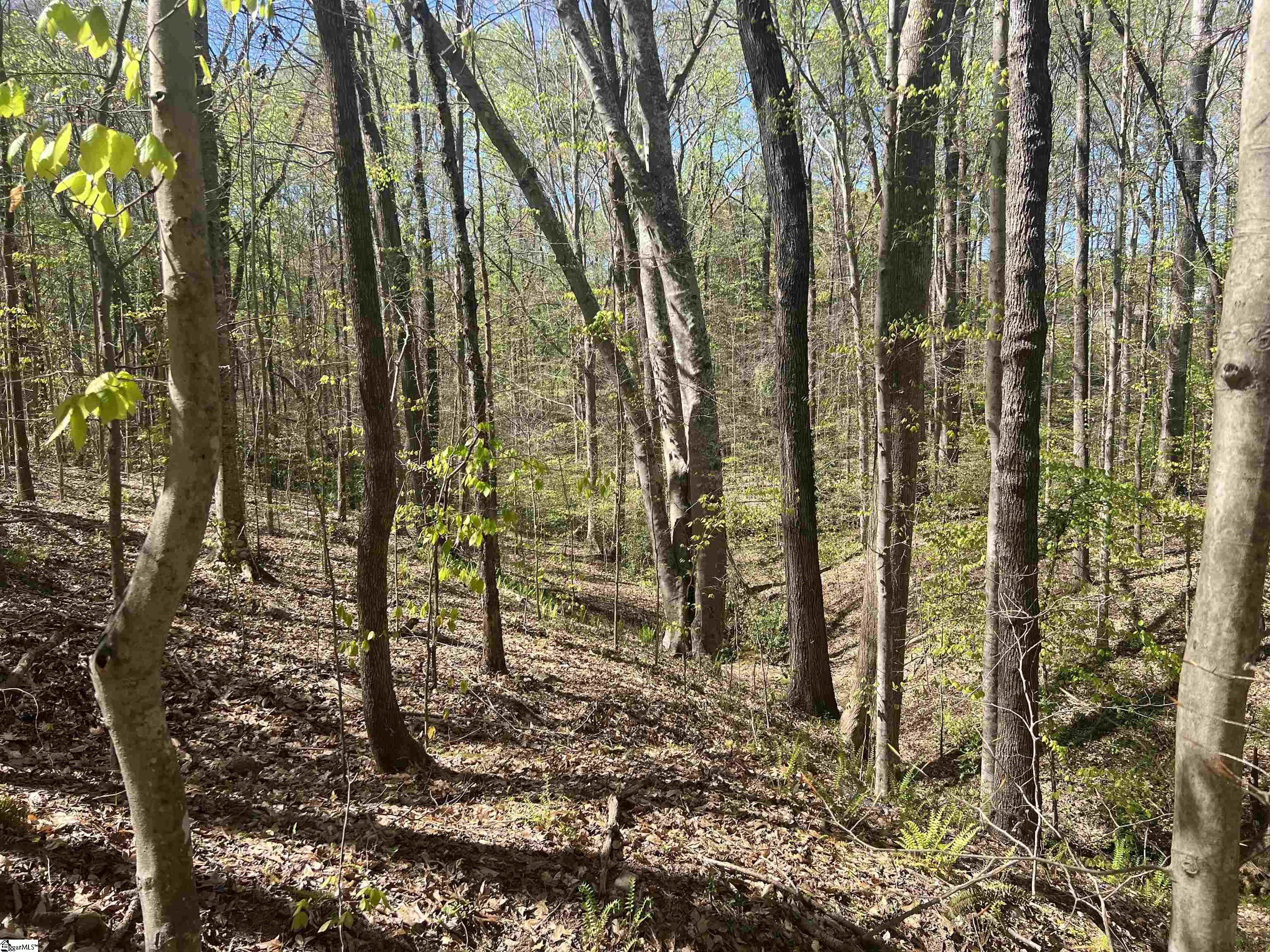 00 Highway Clemson, SC 29631
