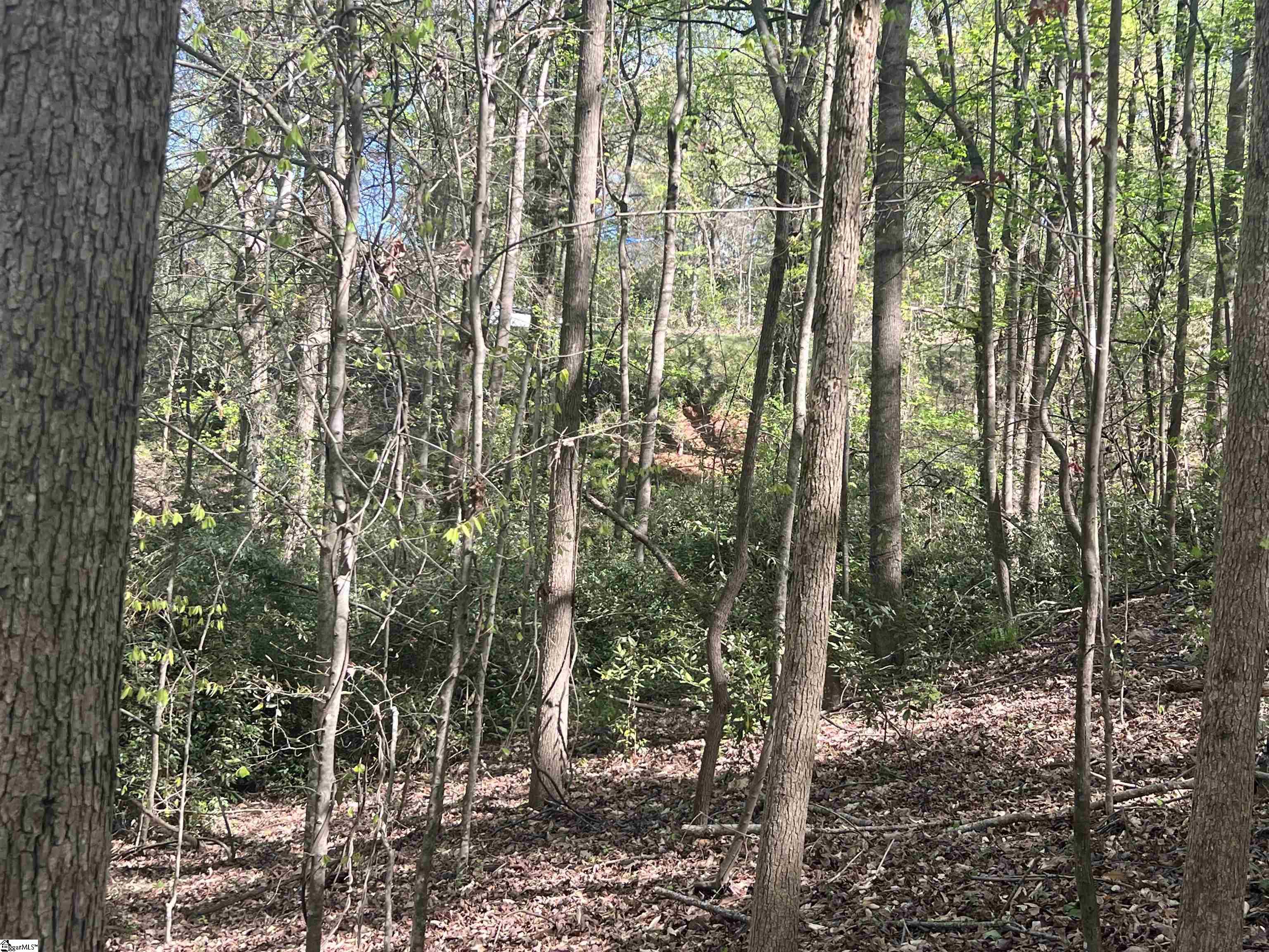 00 Highway Clemson, SC 29631
