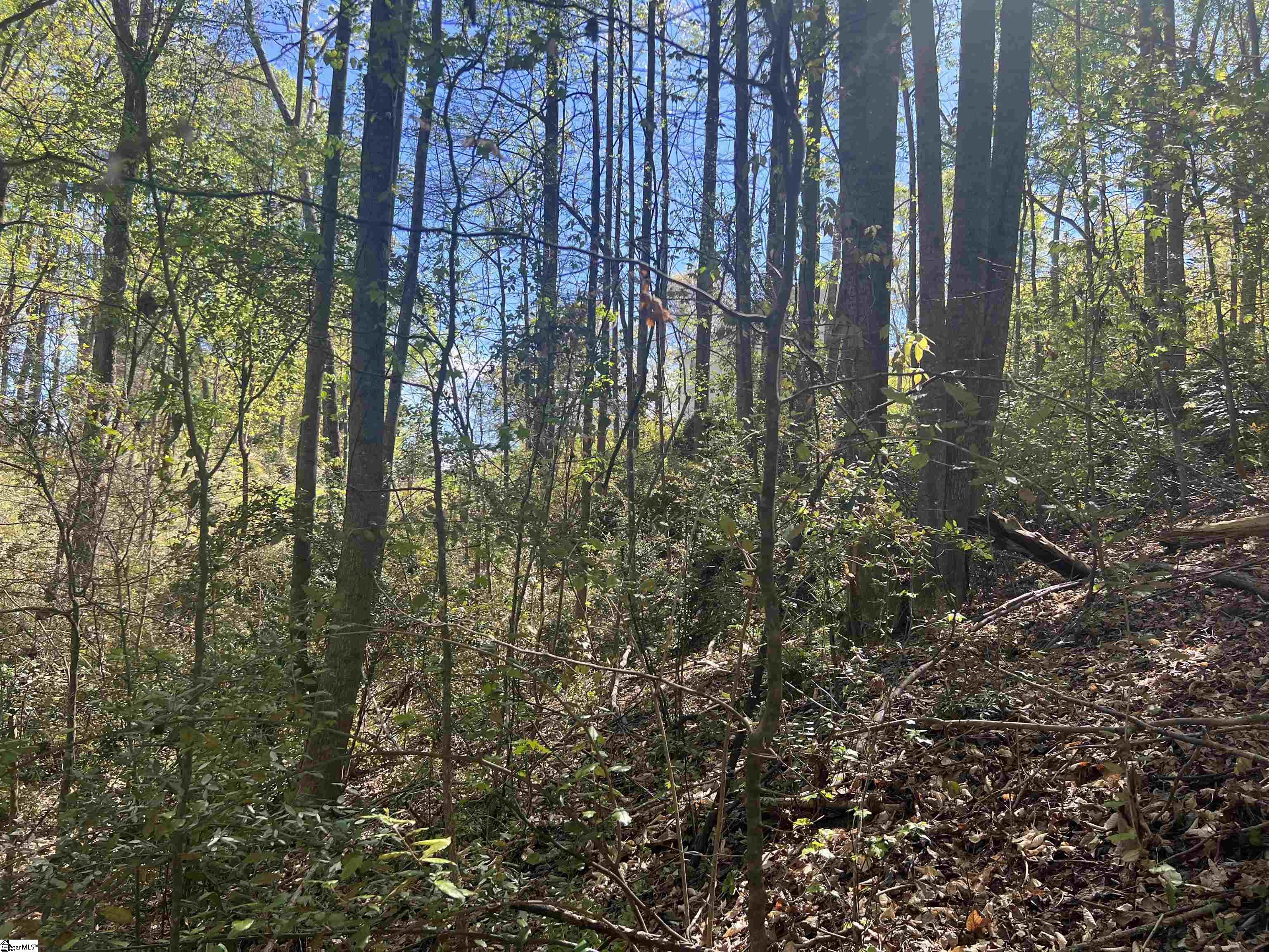 00 Highway Clemson, SC 29631