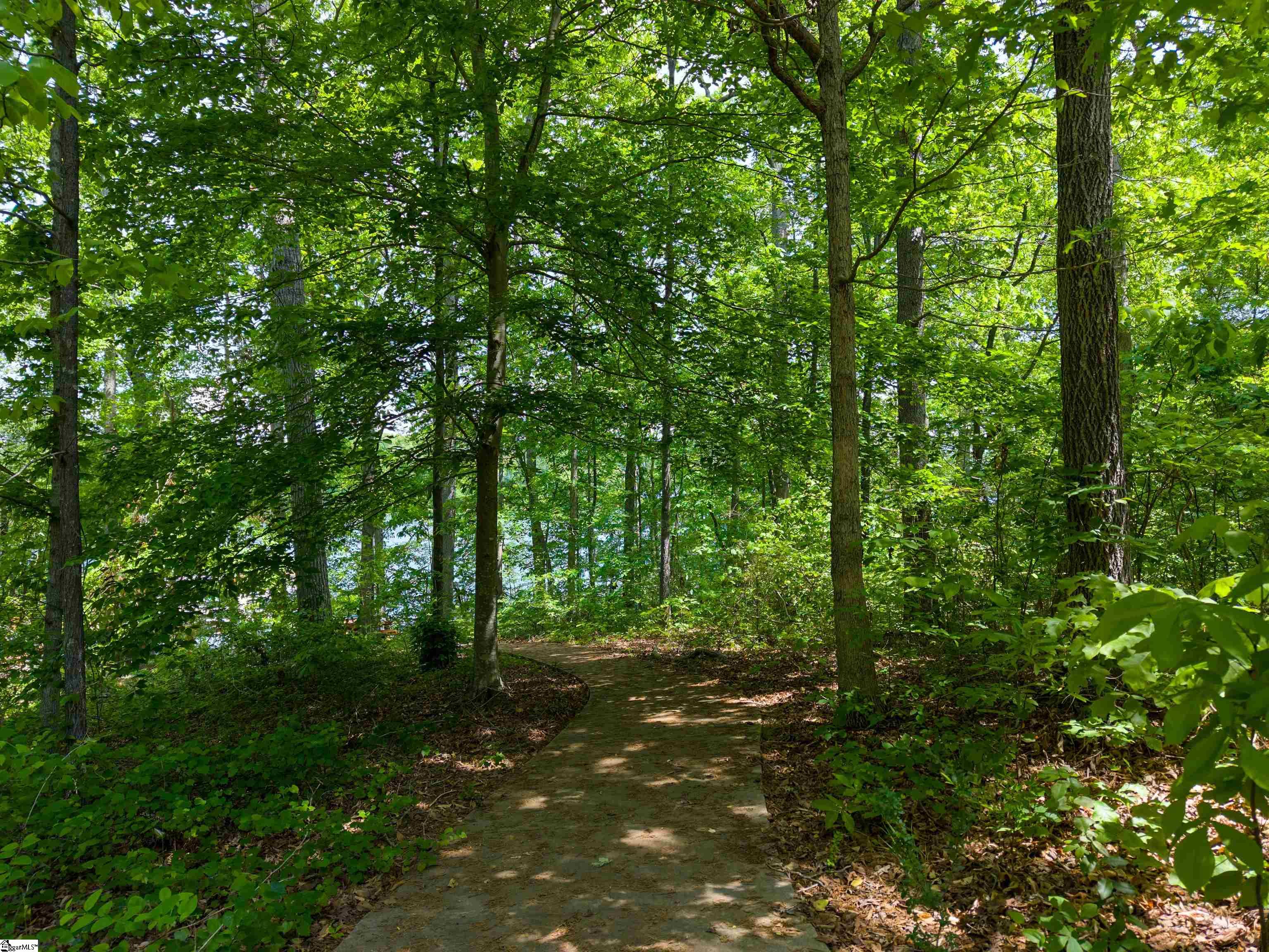 1133 Harts Ridge Drive Seneca, SC 29678