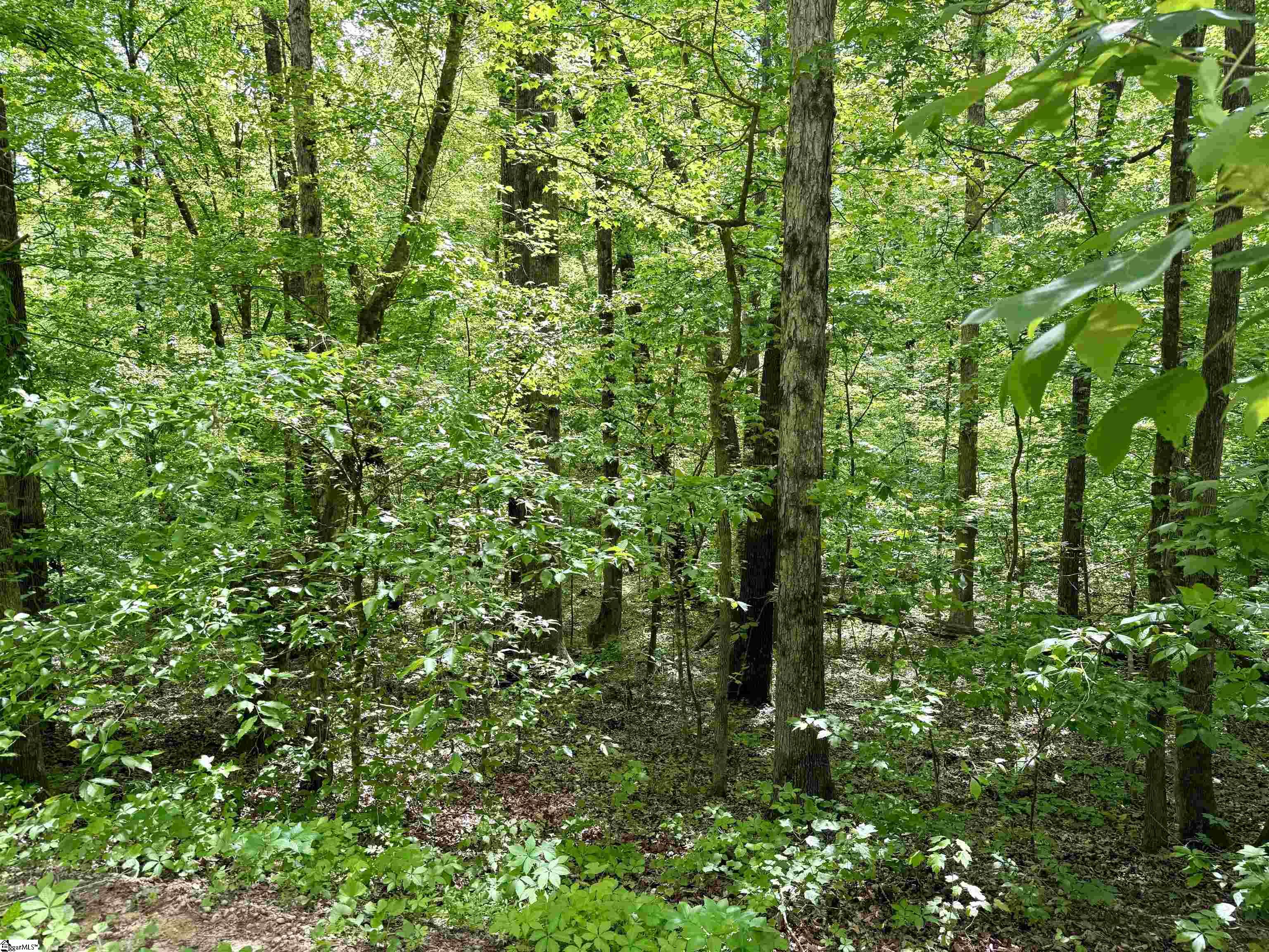 128 Sweetbriar Trail Westminster, SC 29693