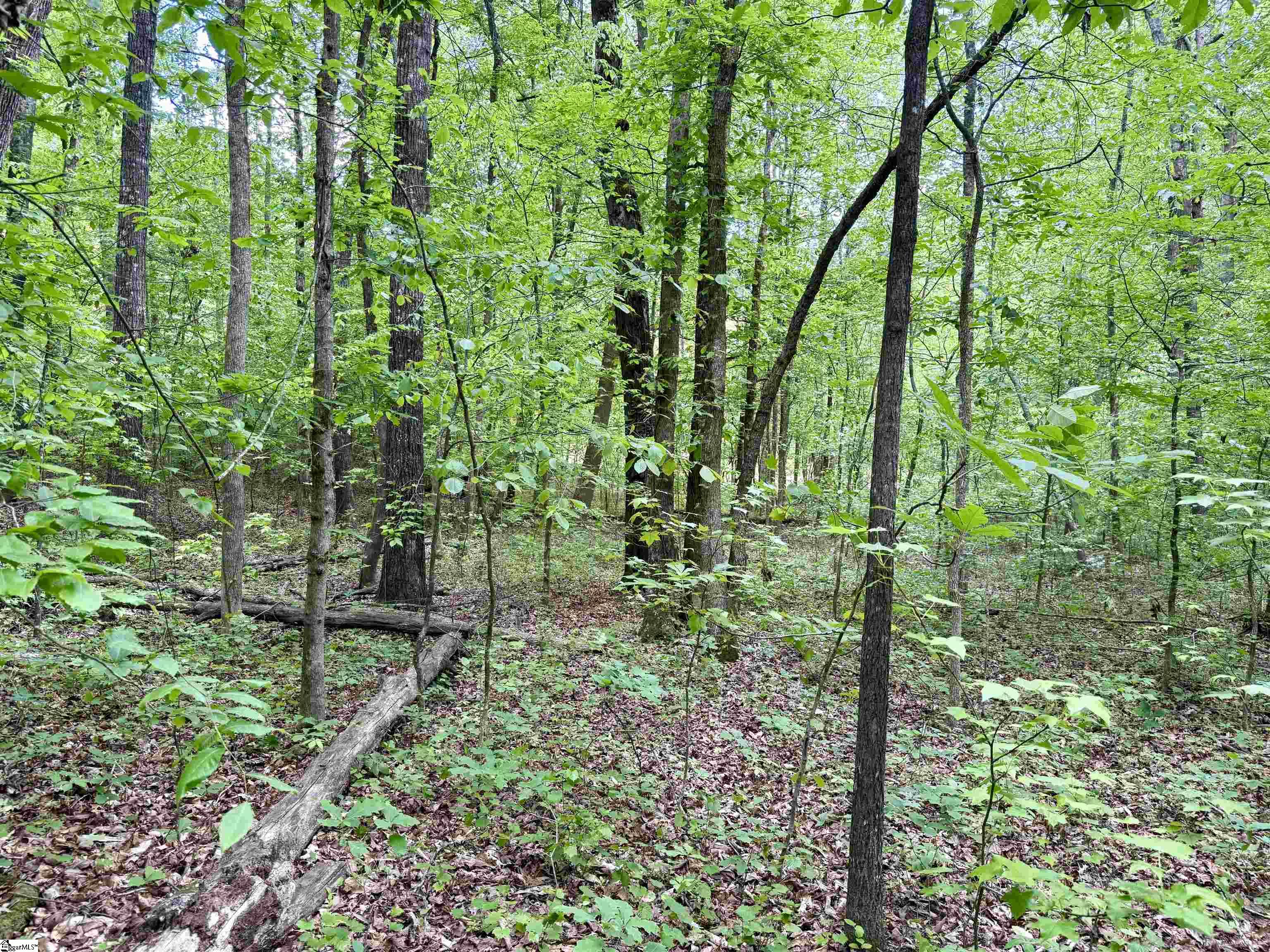 128 Sweetbriar Trail Westminster, SC 29693