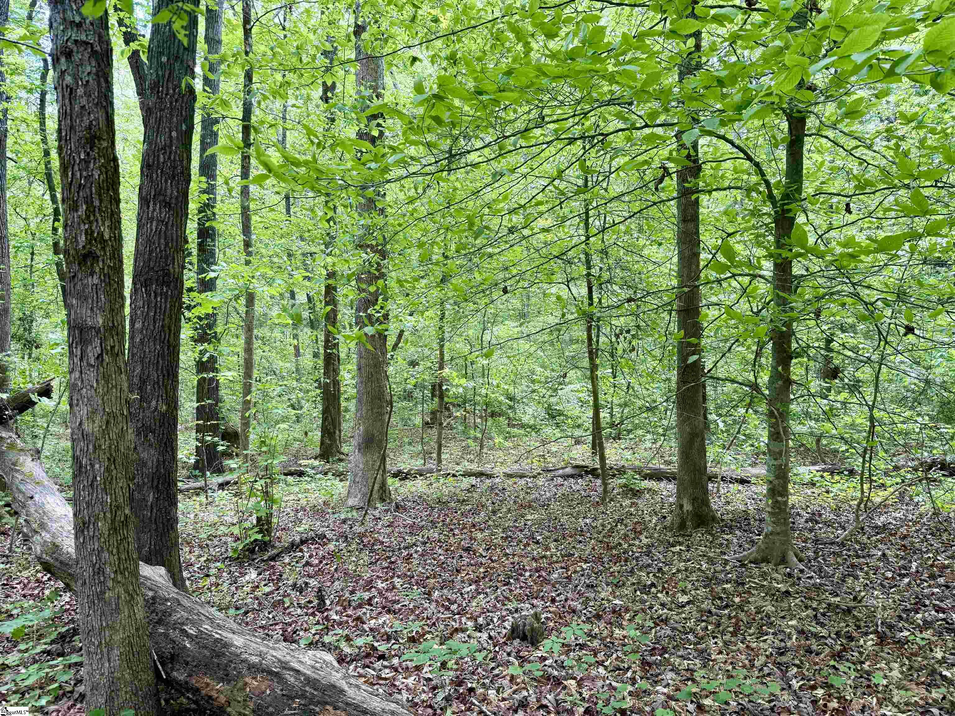 128 Sweetbriar Trail Westminster, SC 29693